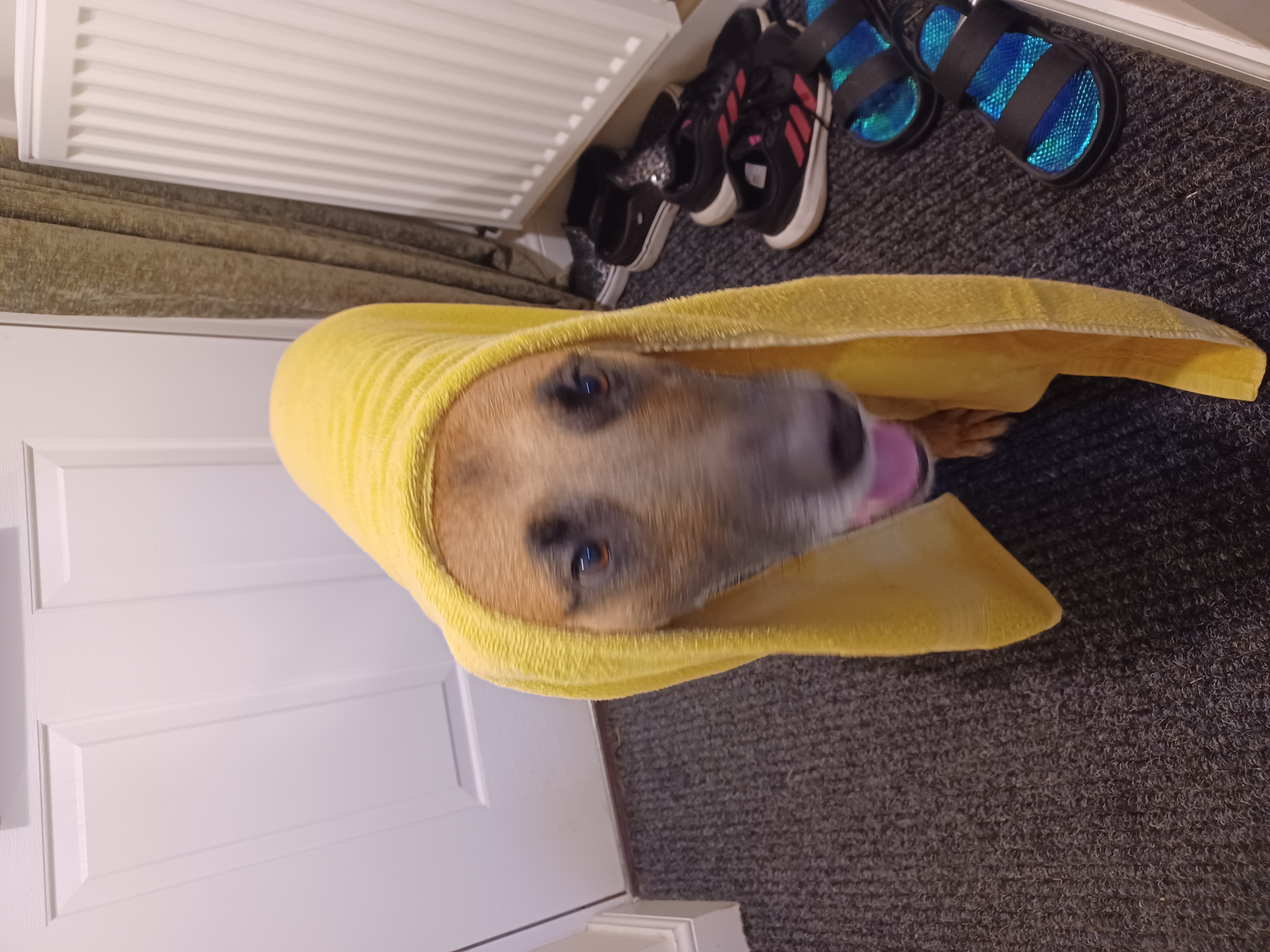 image-16
