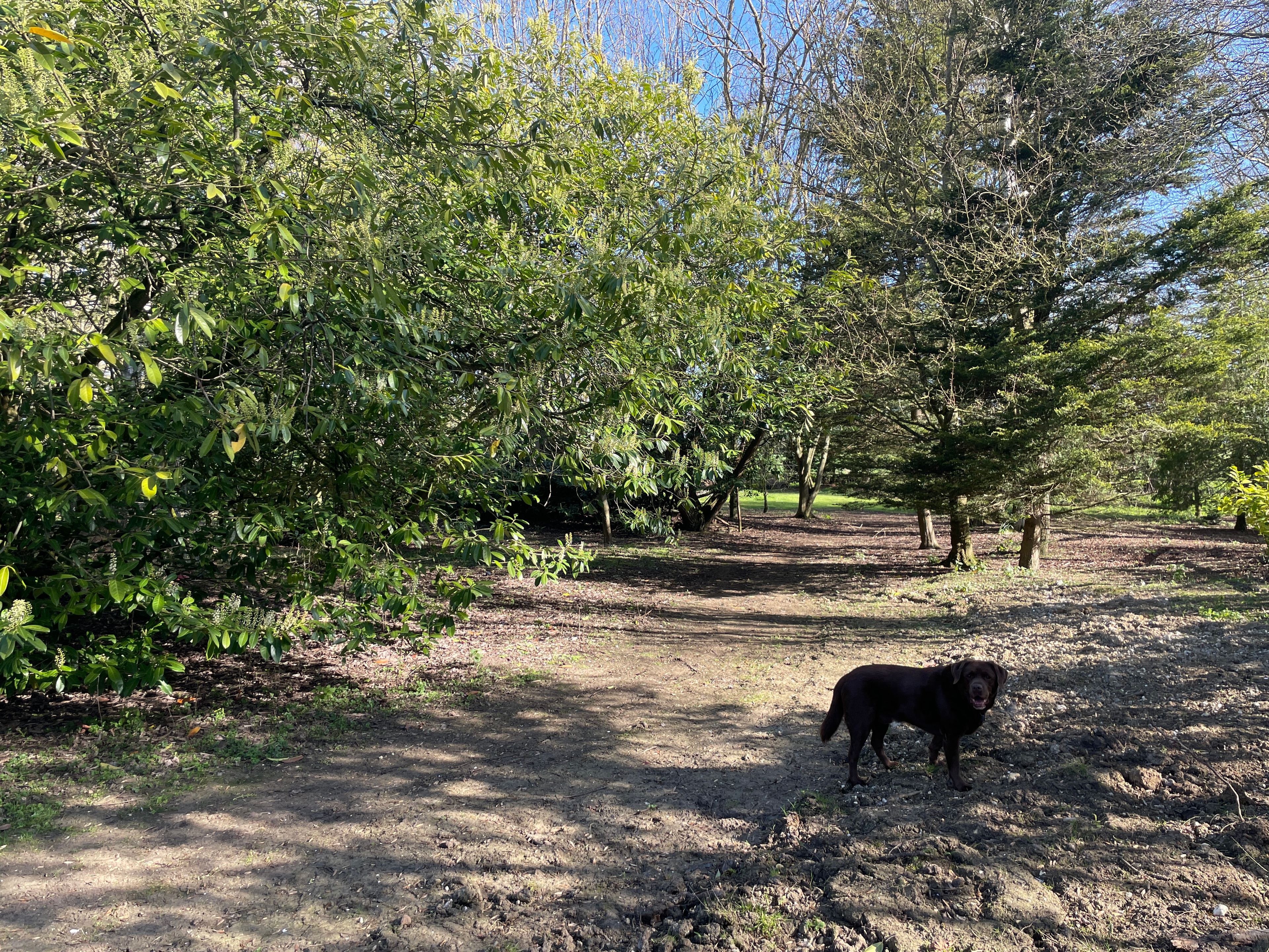 image-13