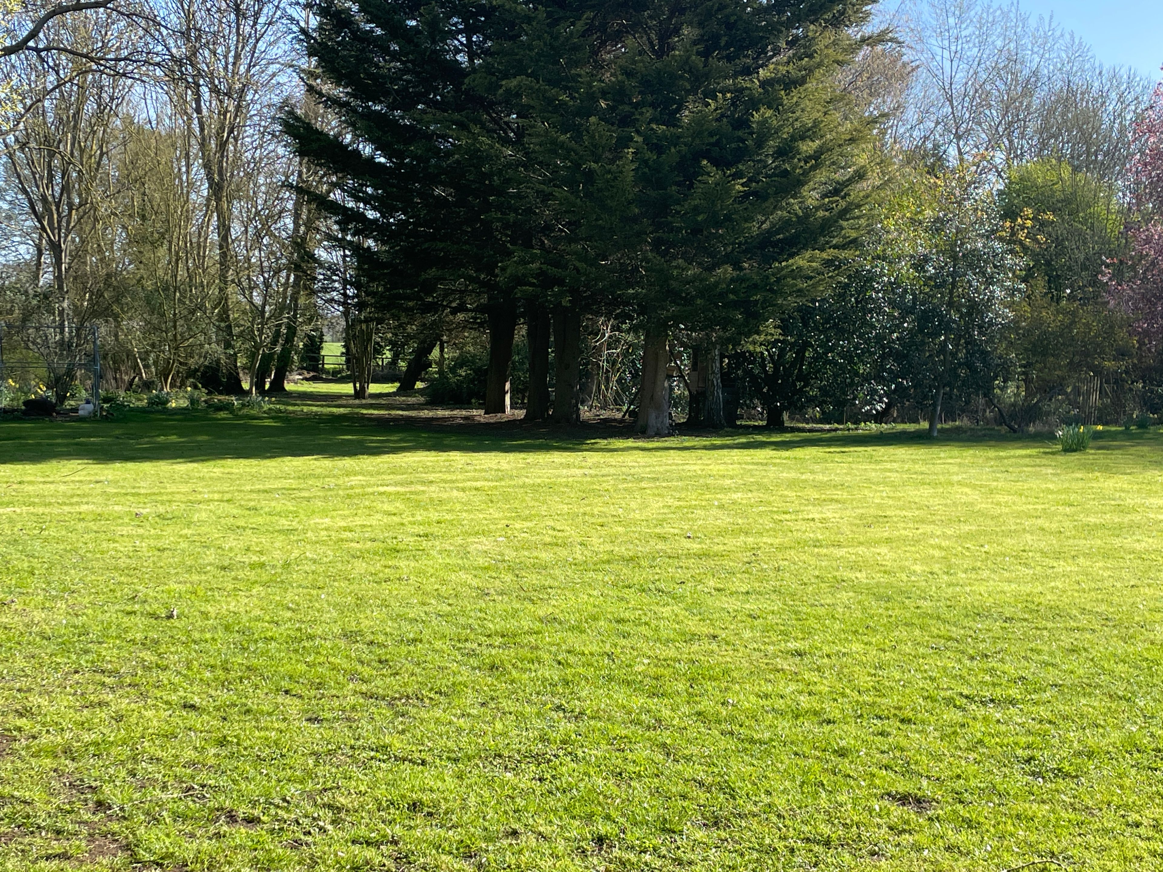 image-14