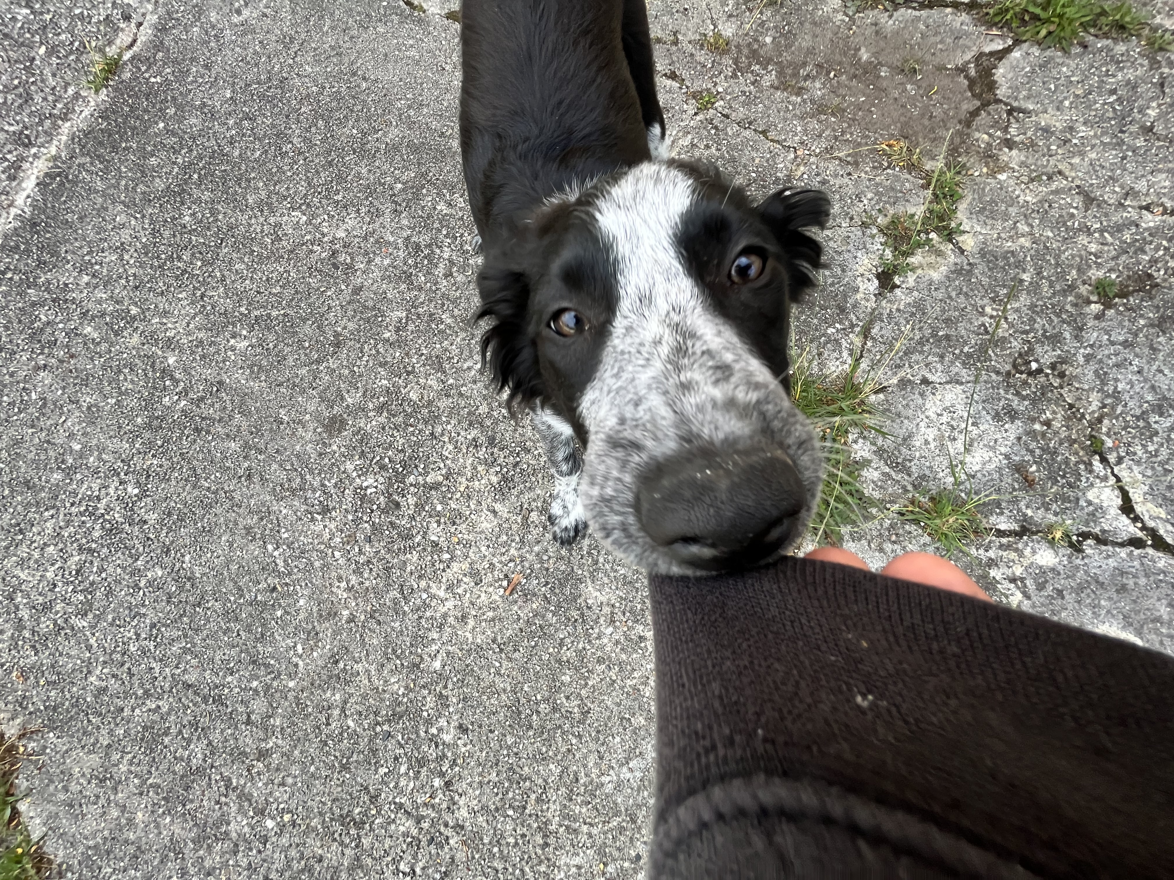 image-8