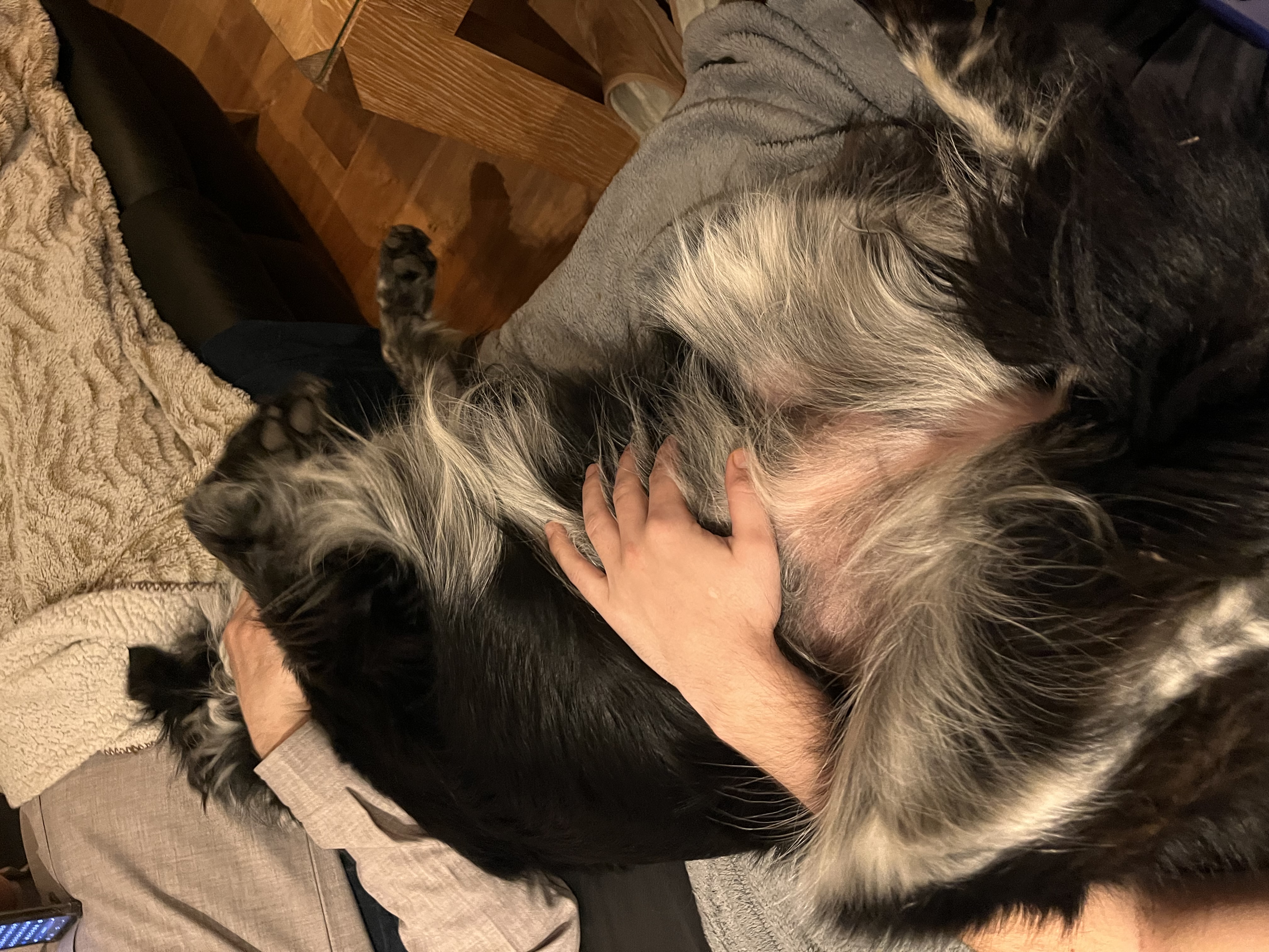 image-9