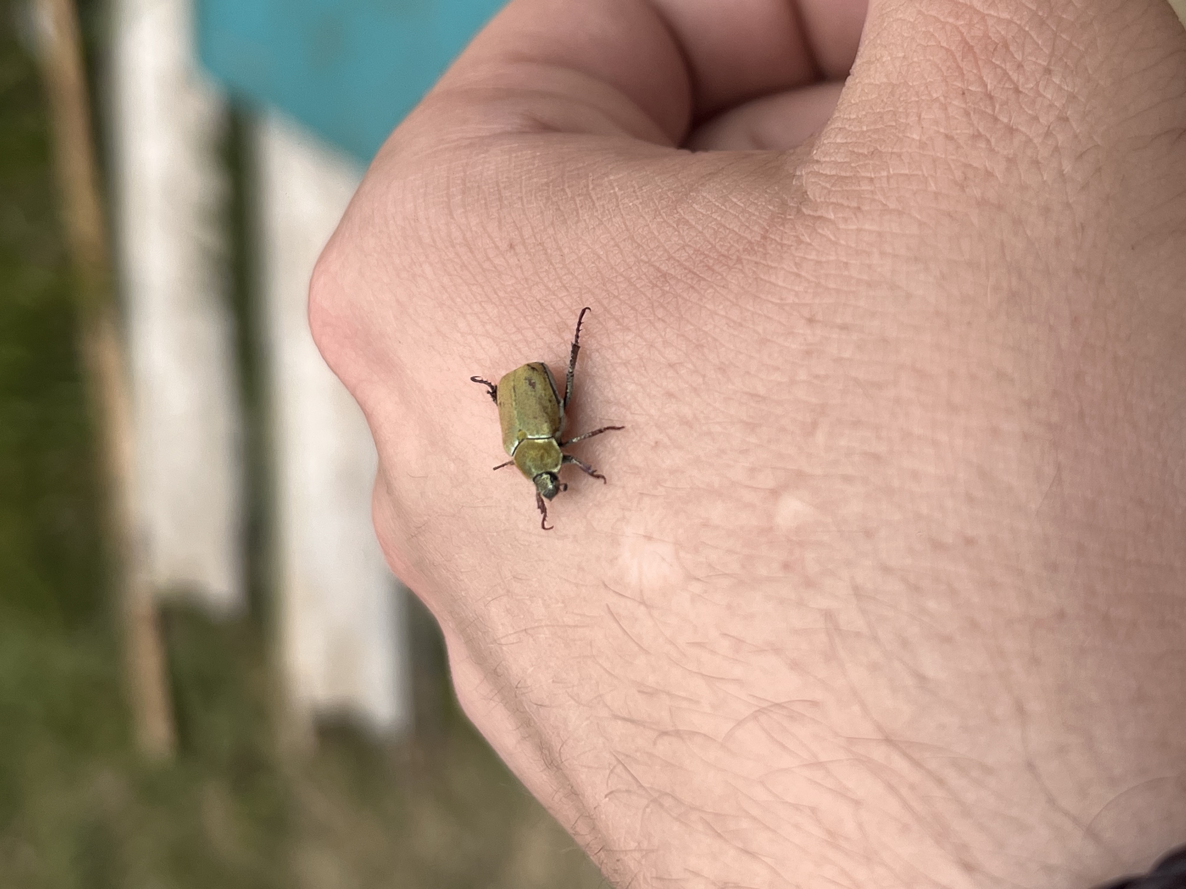image-13