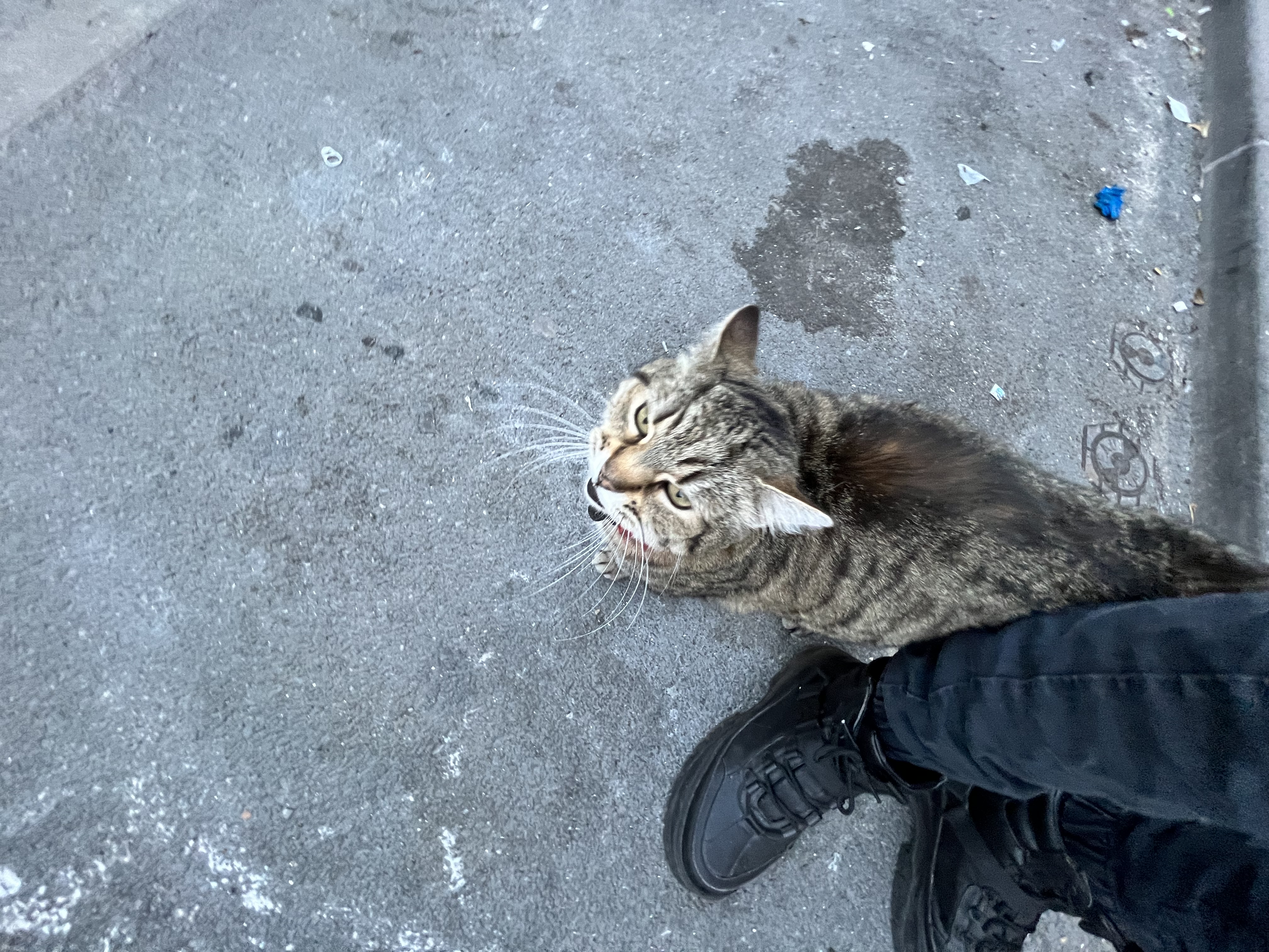 image-10