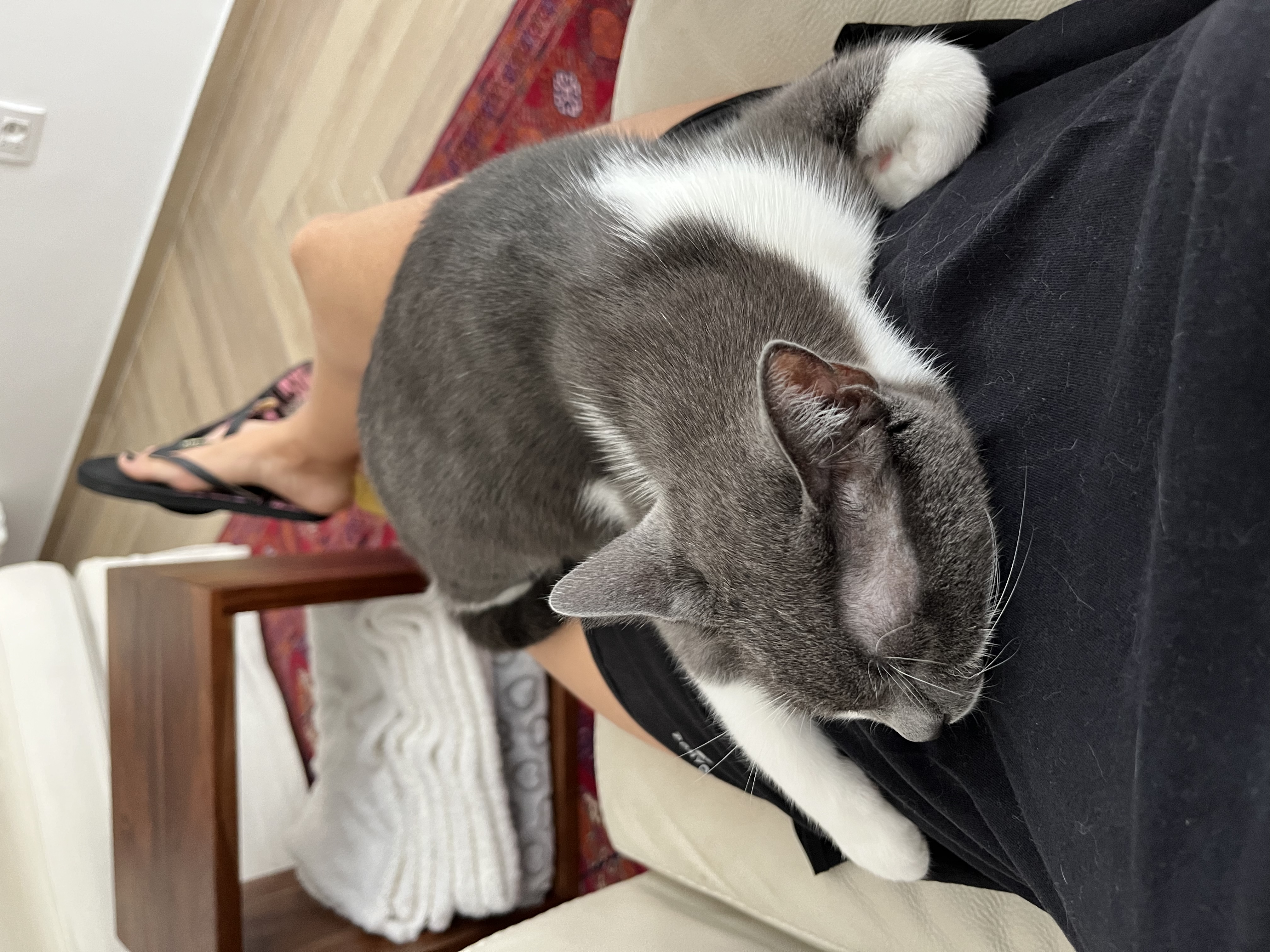 image-7