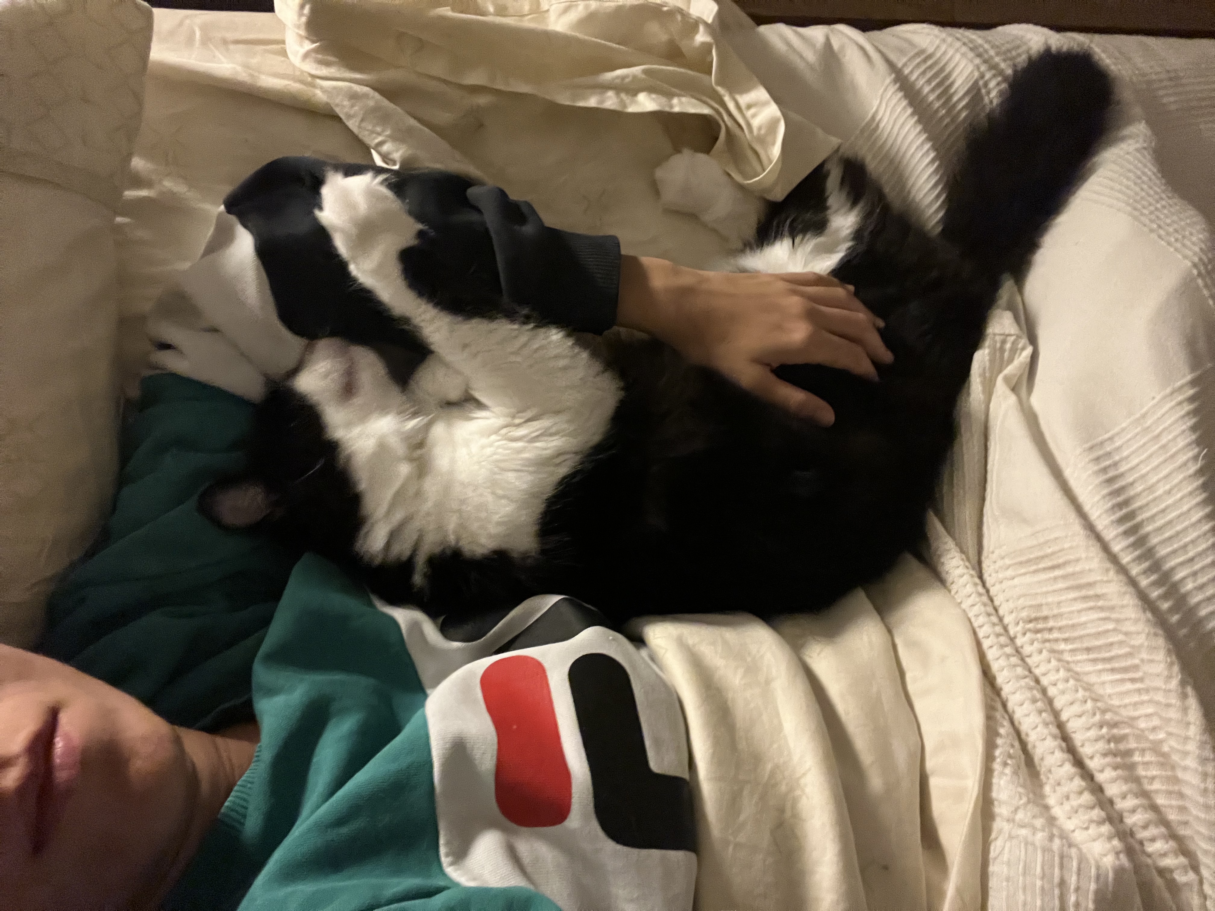 image-5