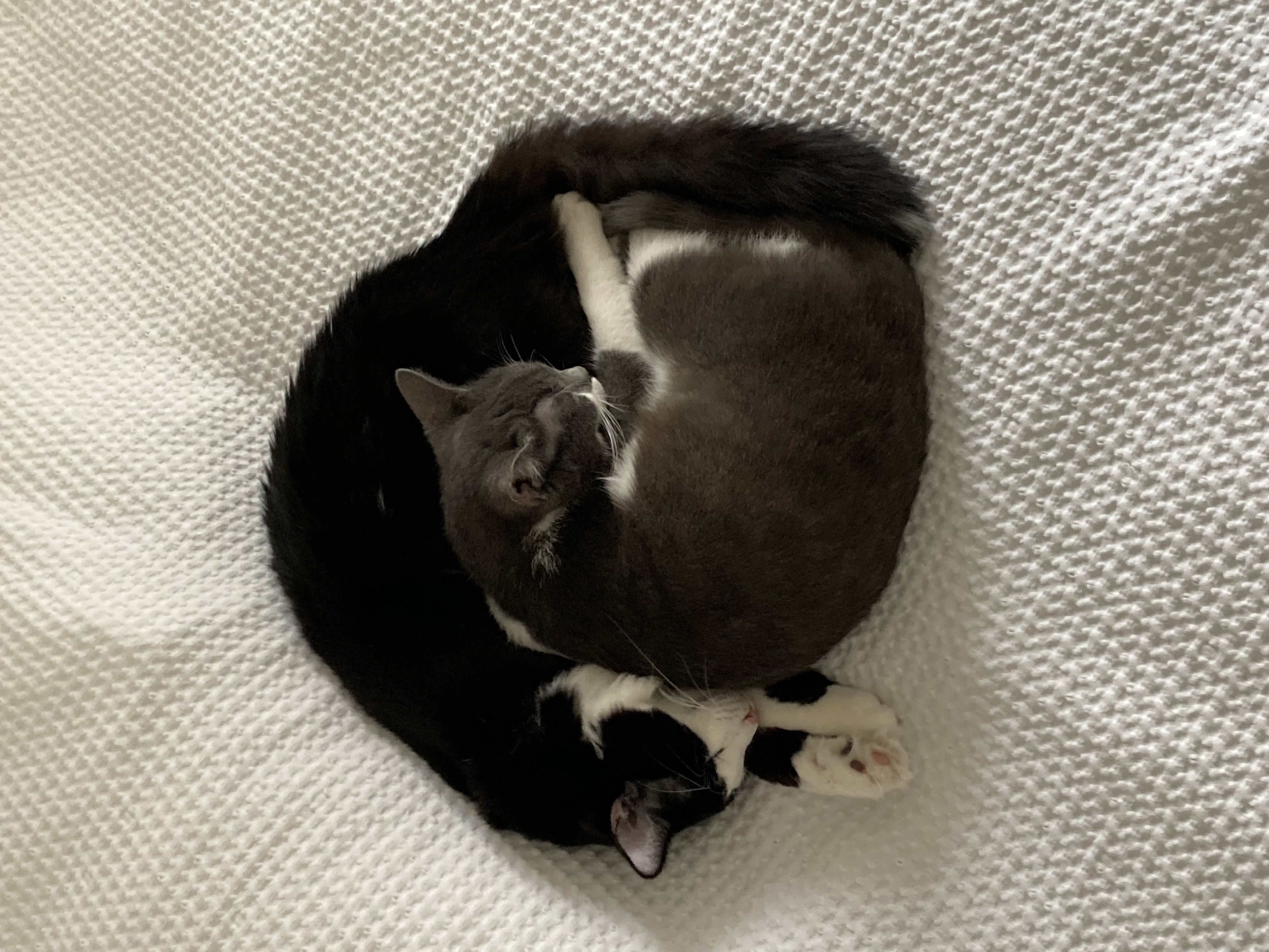 image-6
