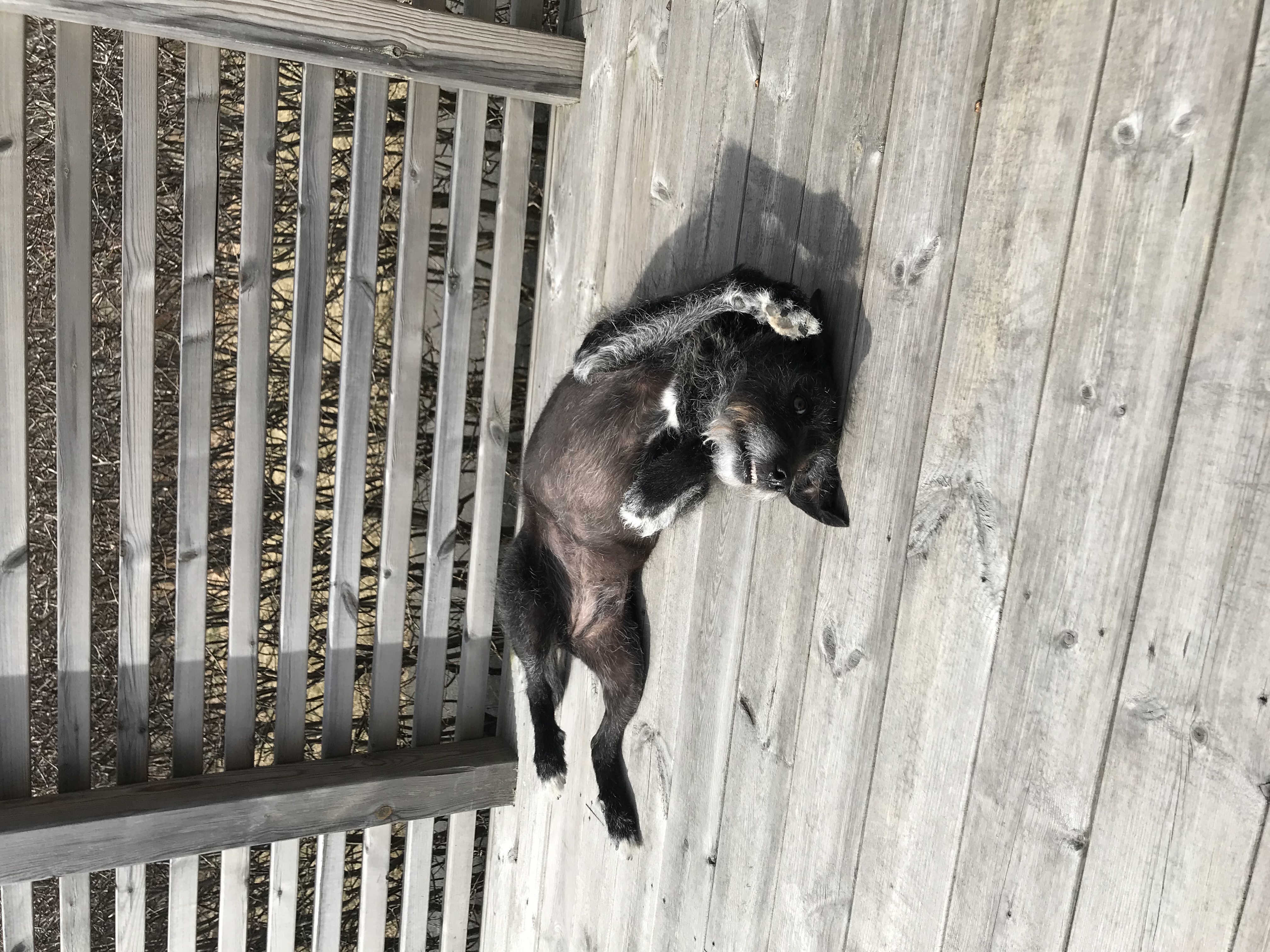 image-6