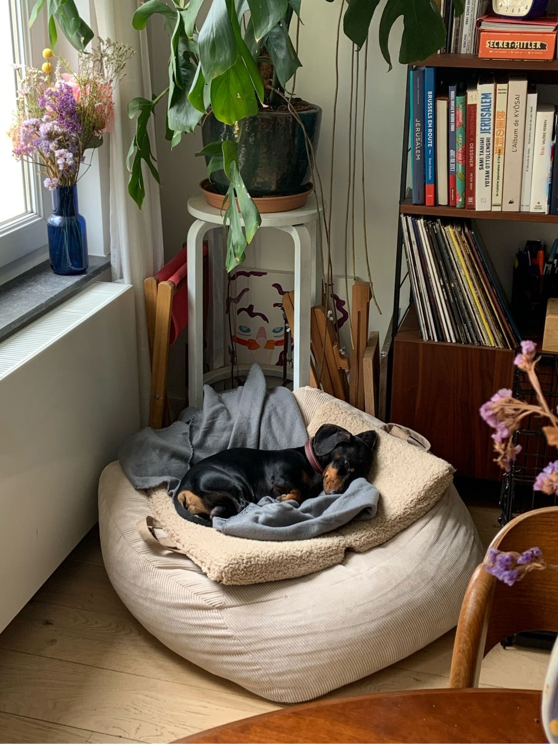 image-16