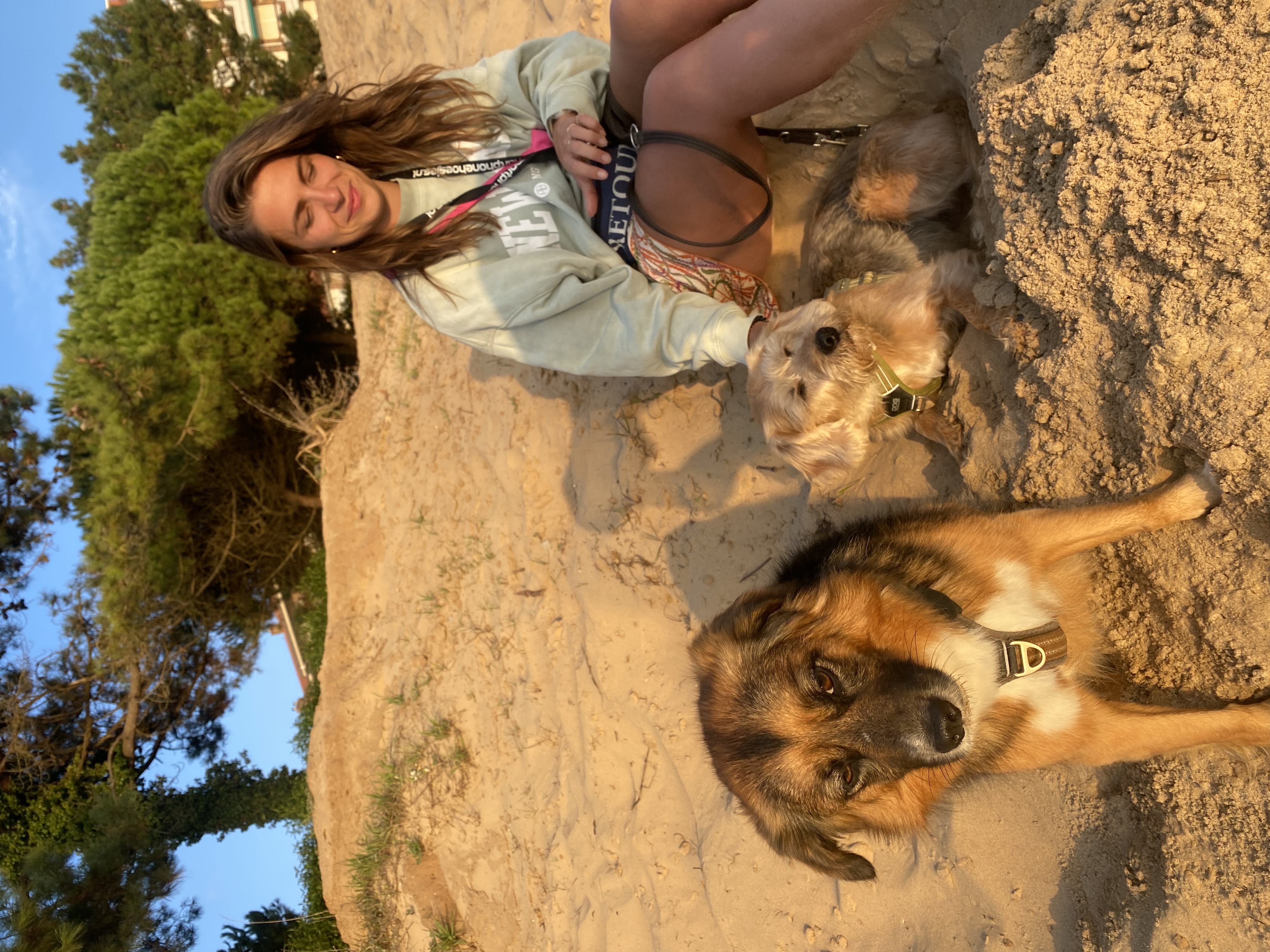image-7