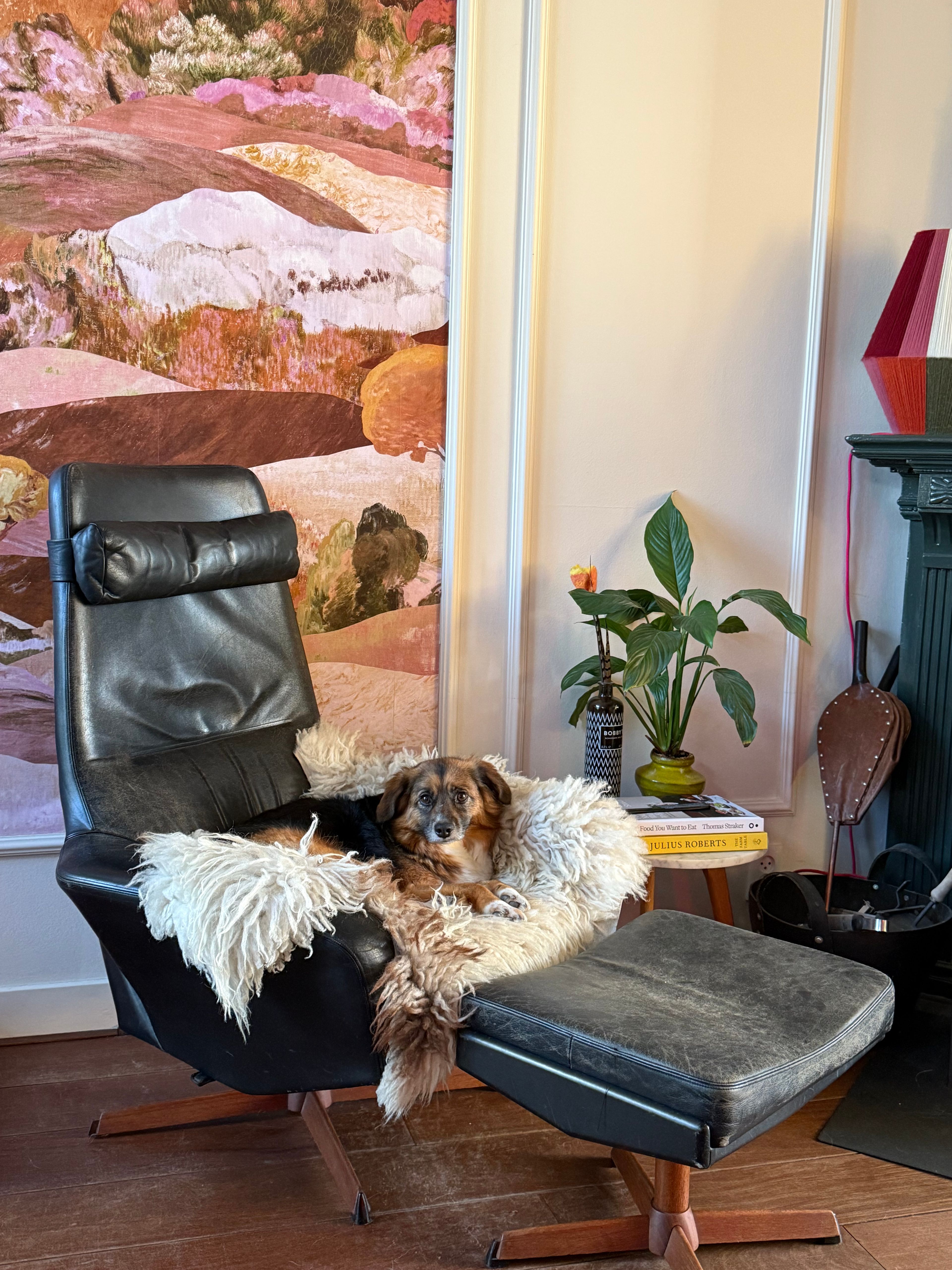 image-13