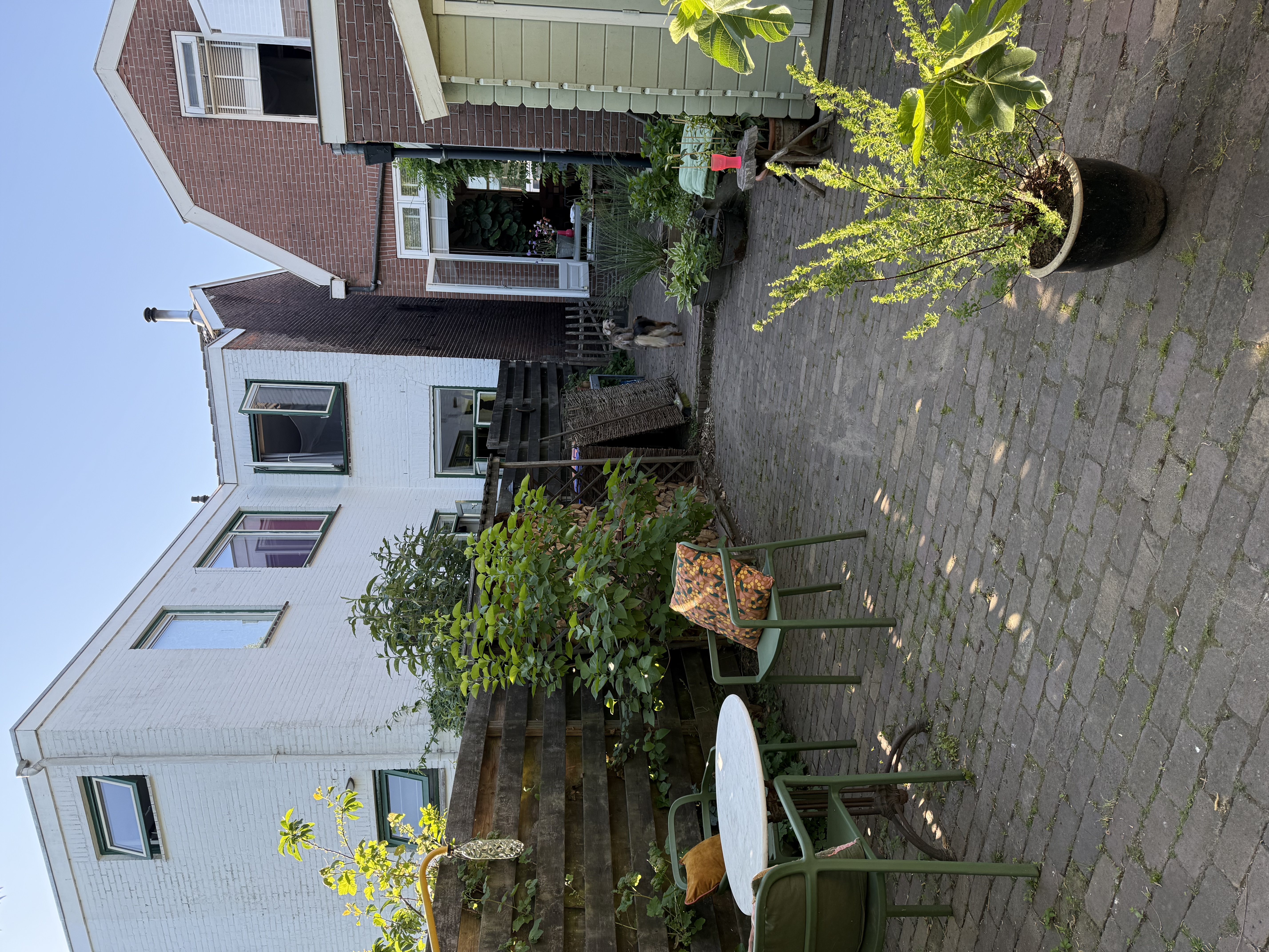 image-14