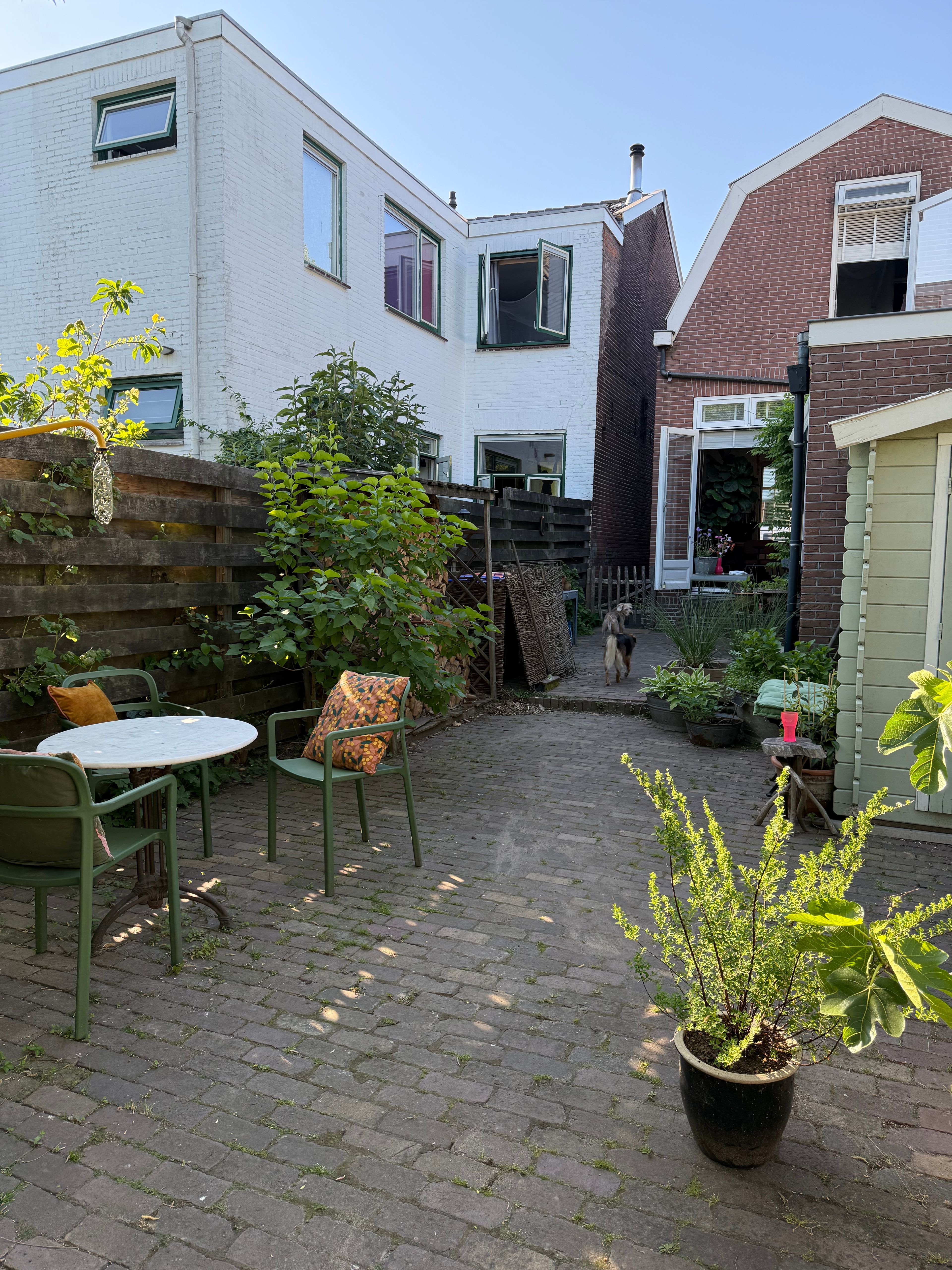 image-14