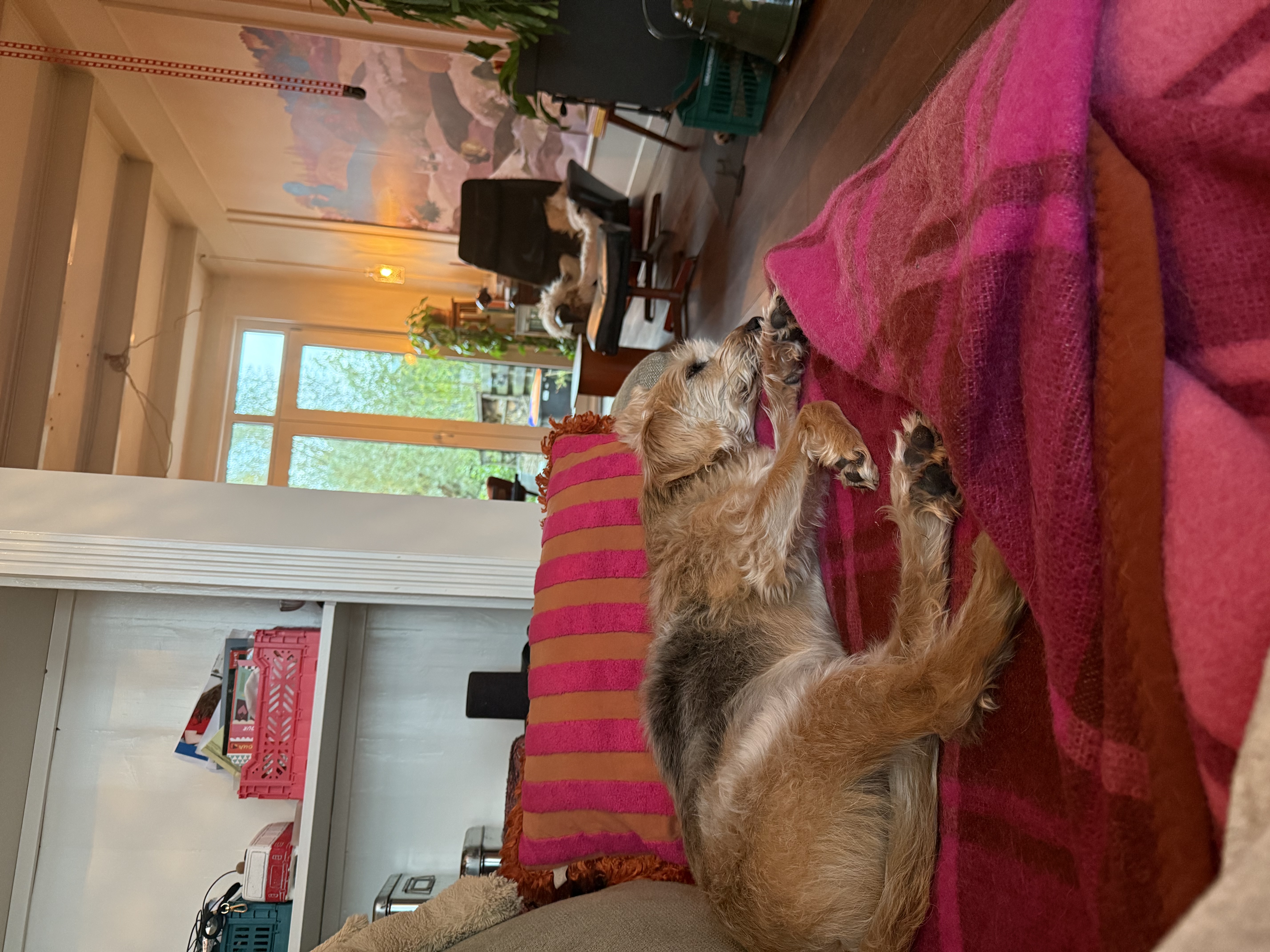 image-12
