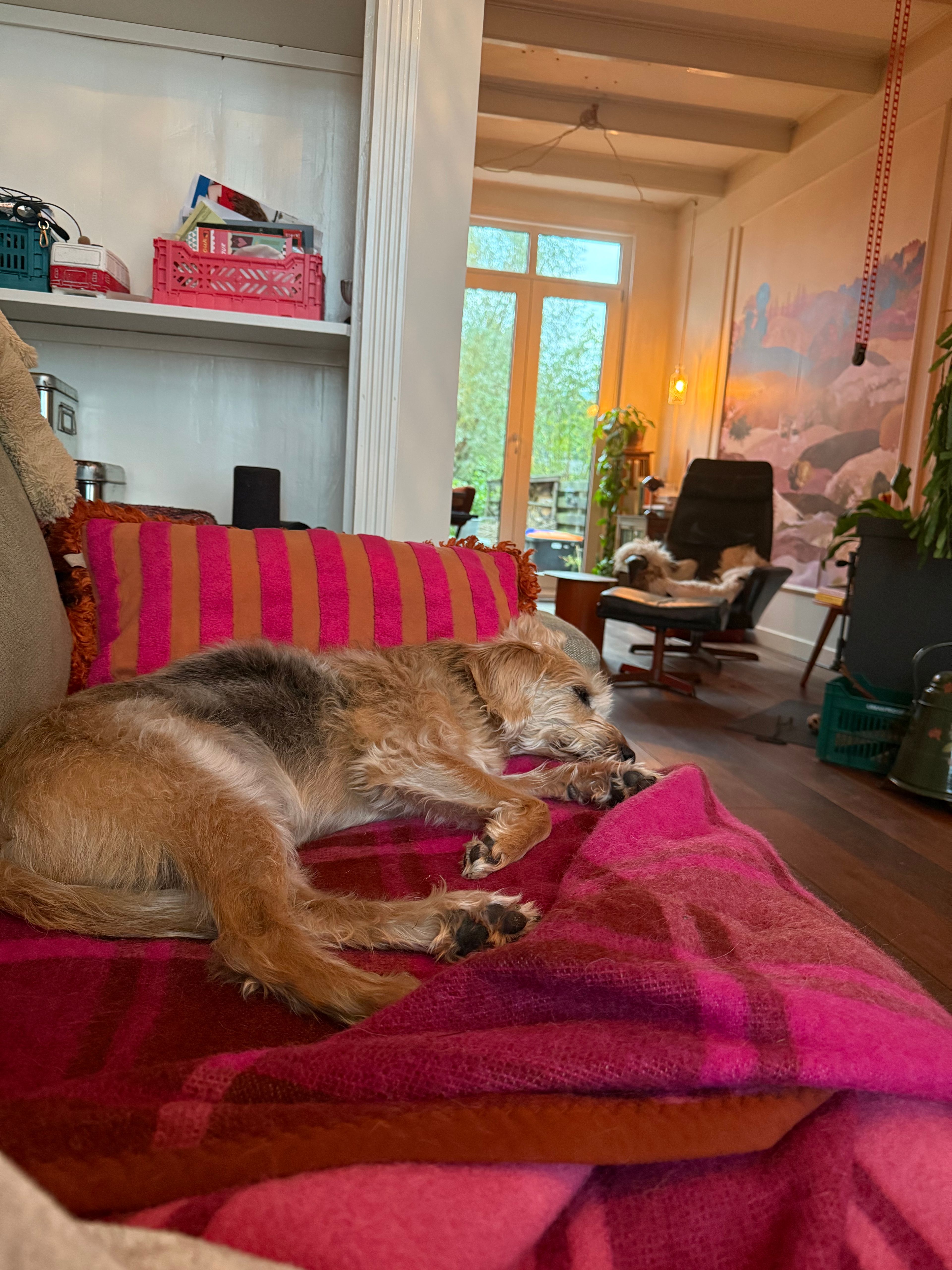 image-12