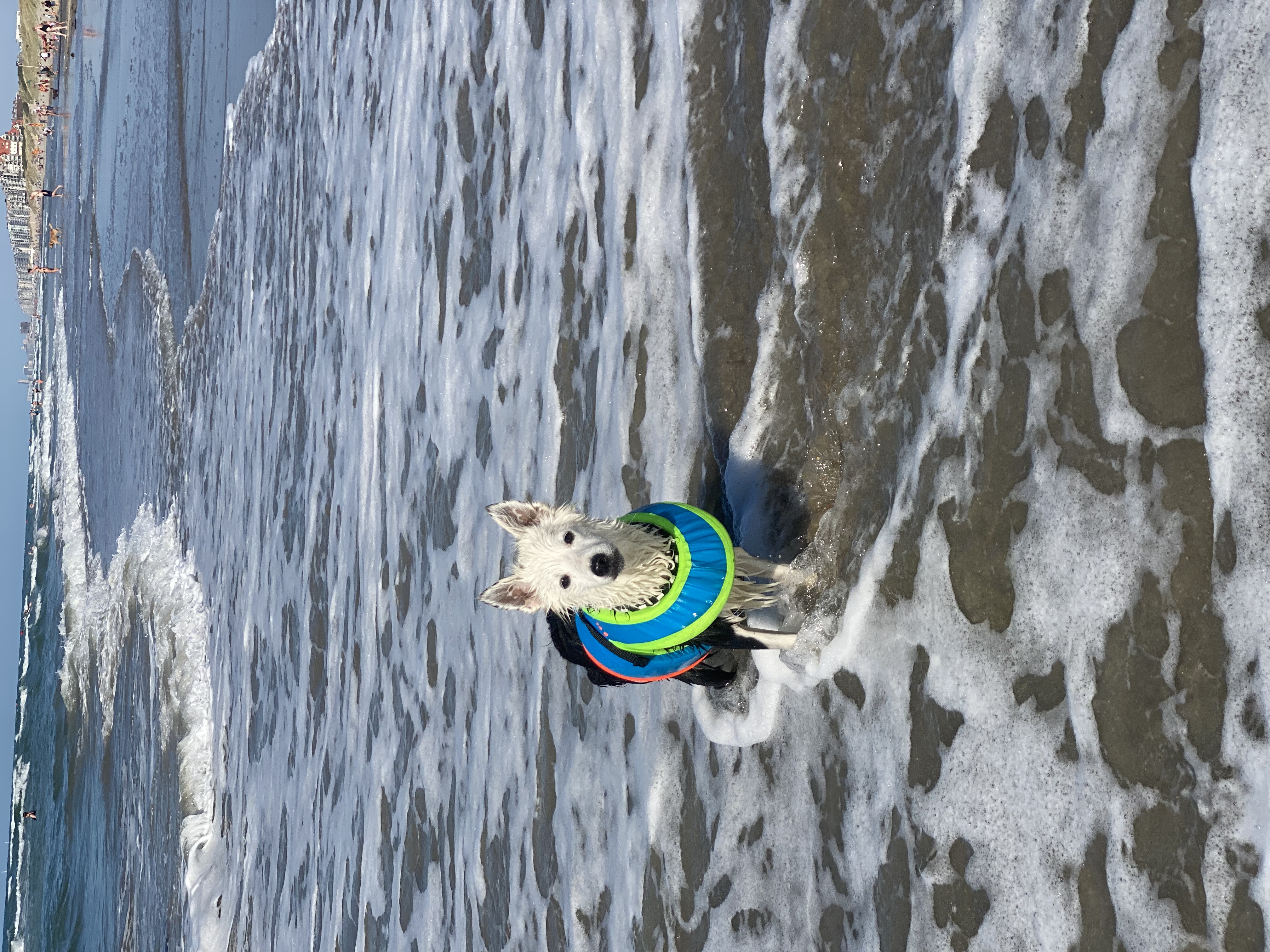image-8