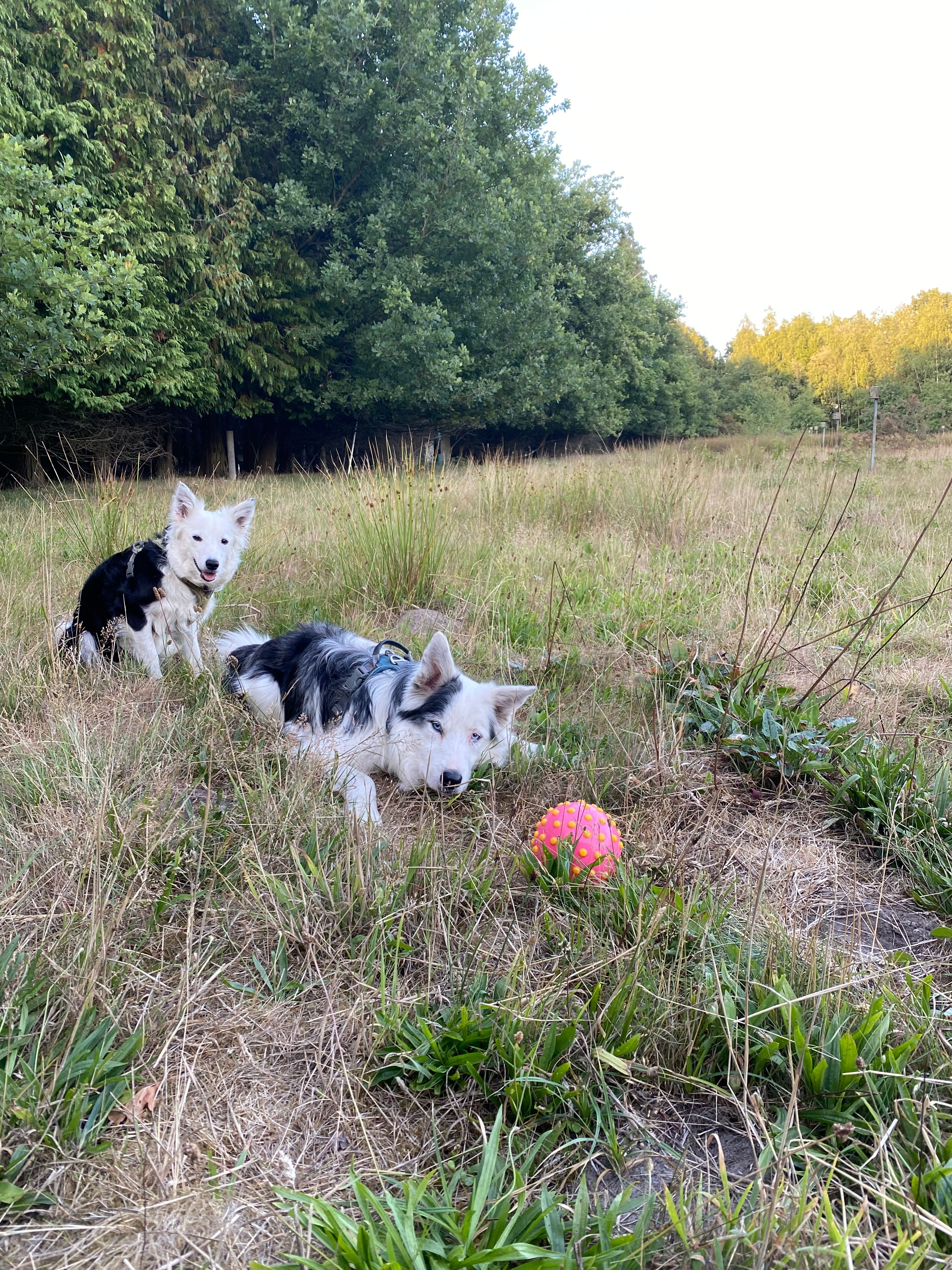 image-9