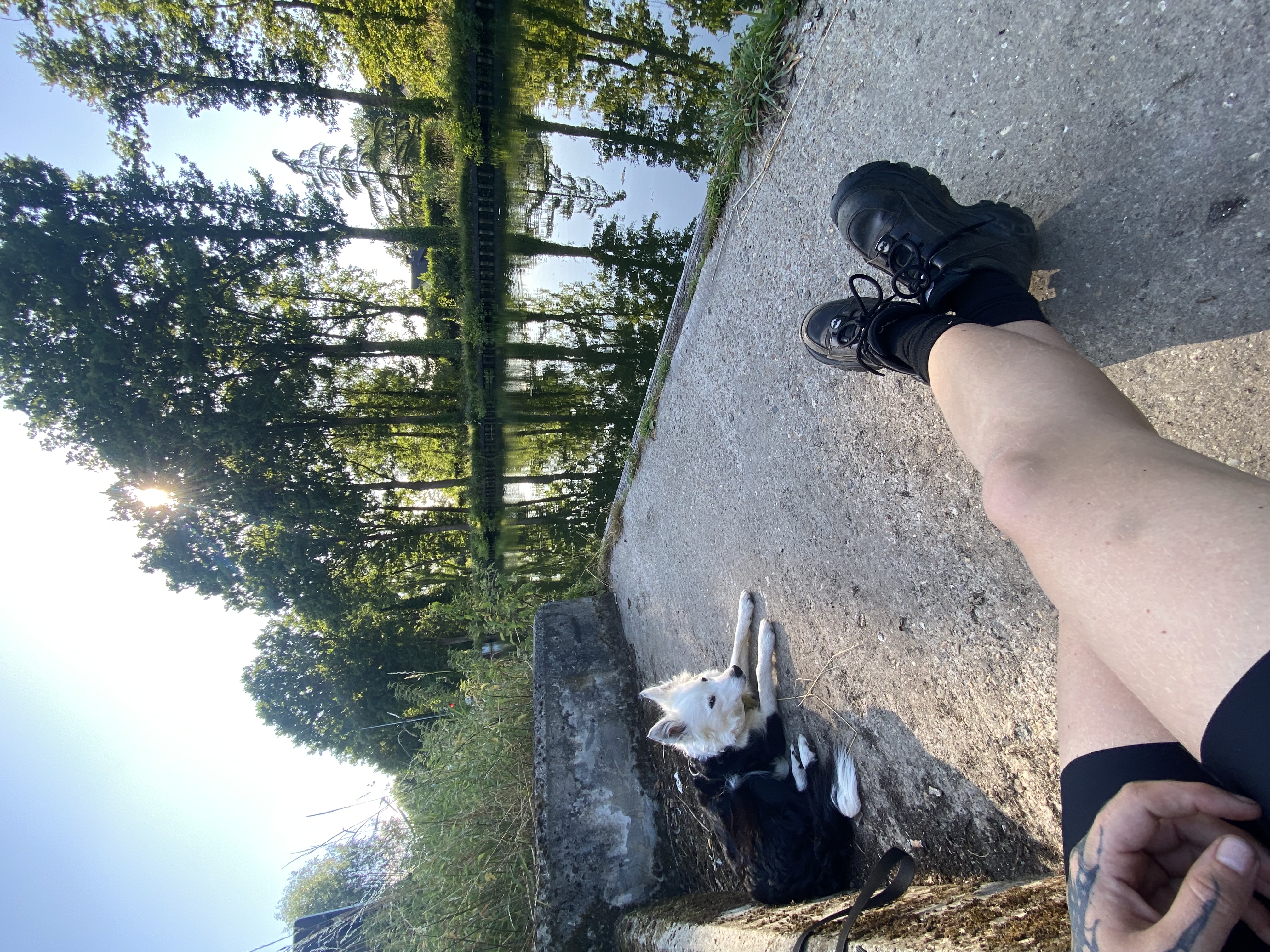 image-11