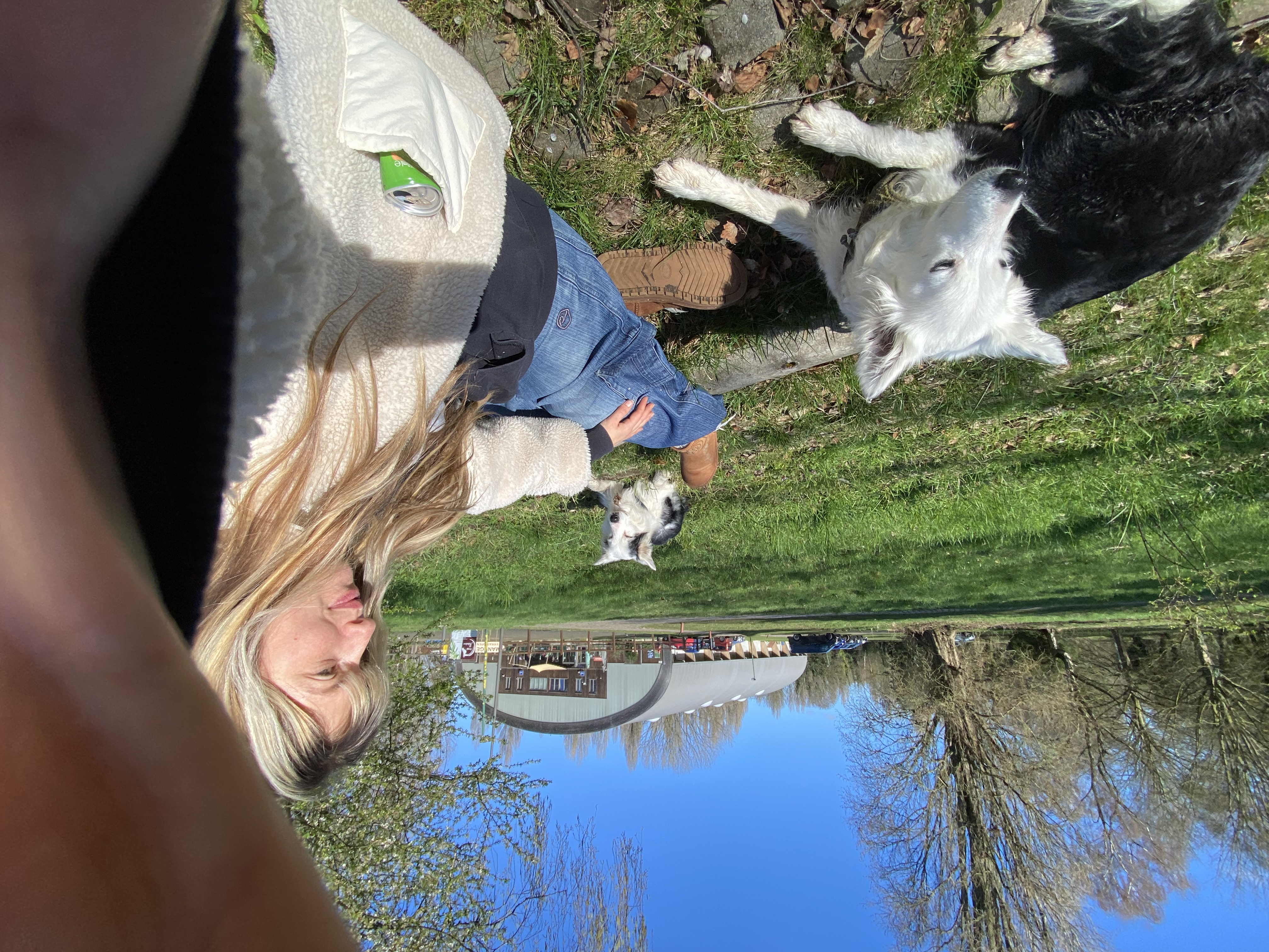 image-4