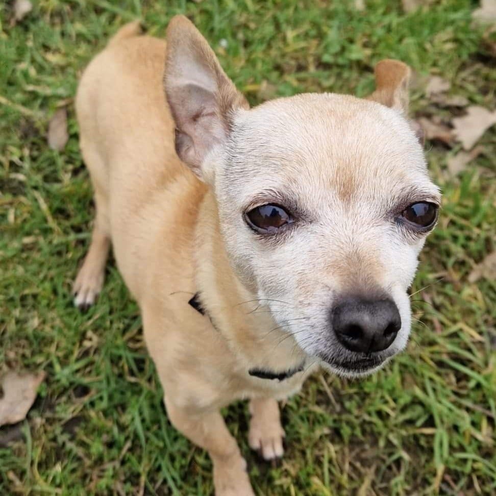 Bailey