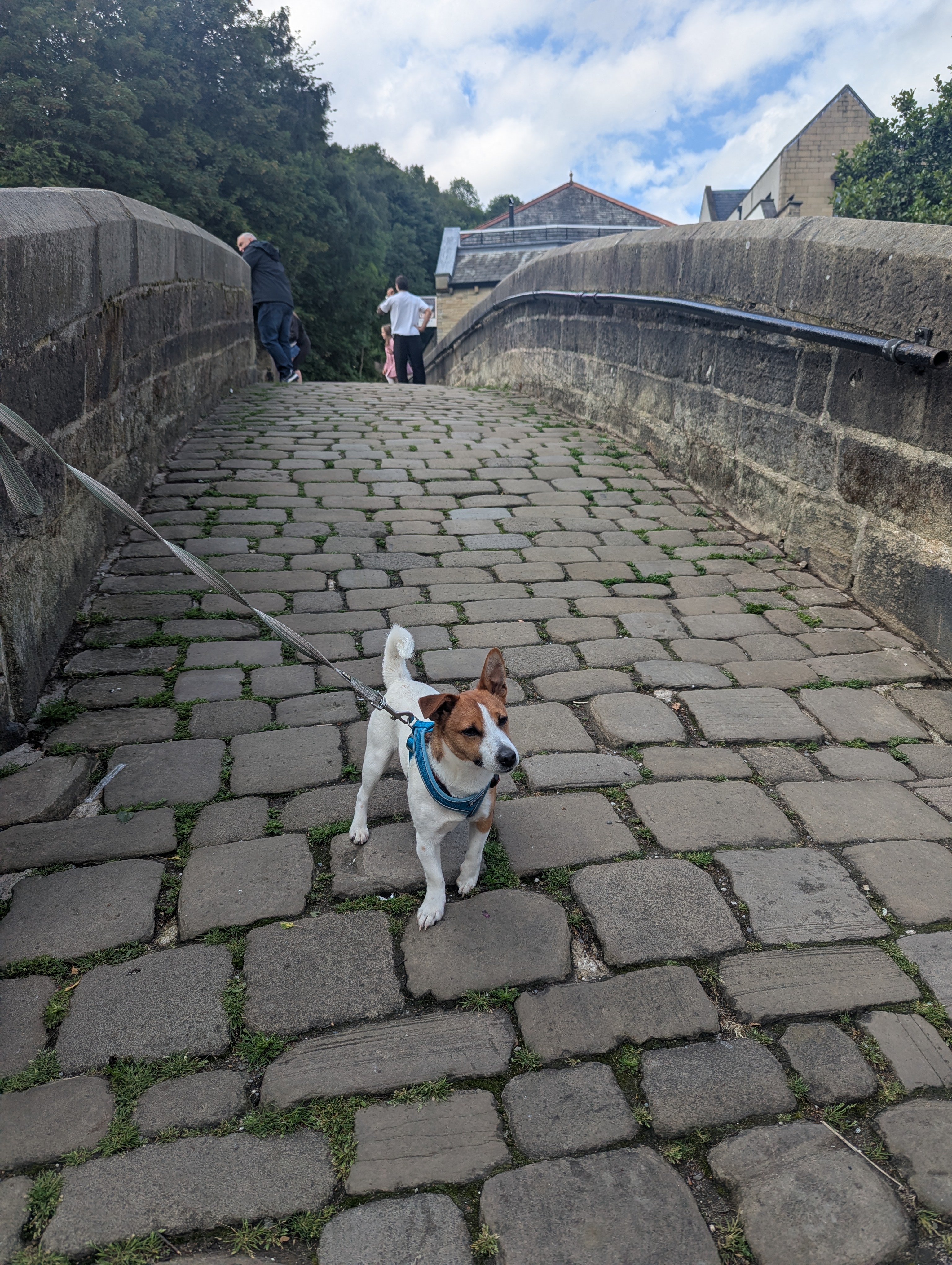image-5