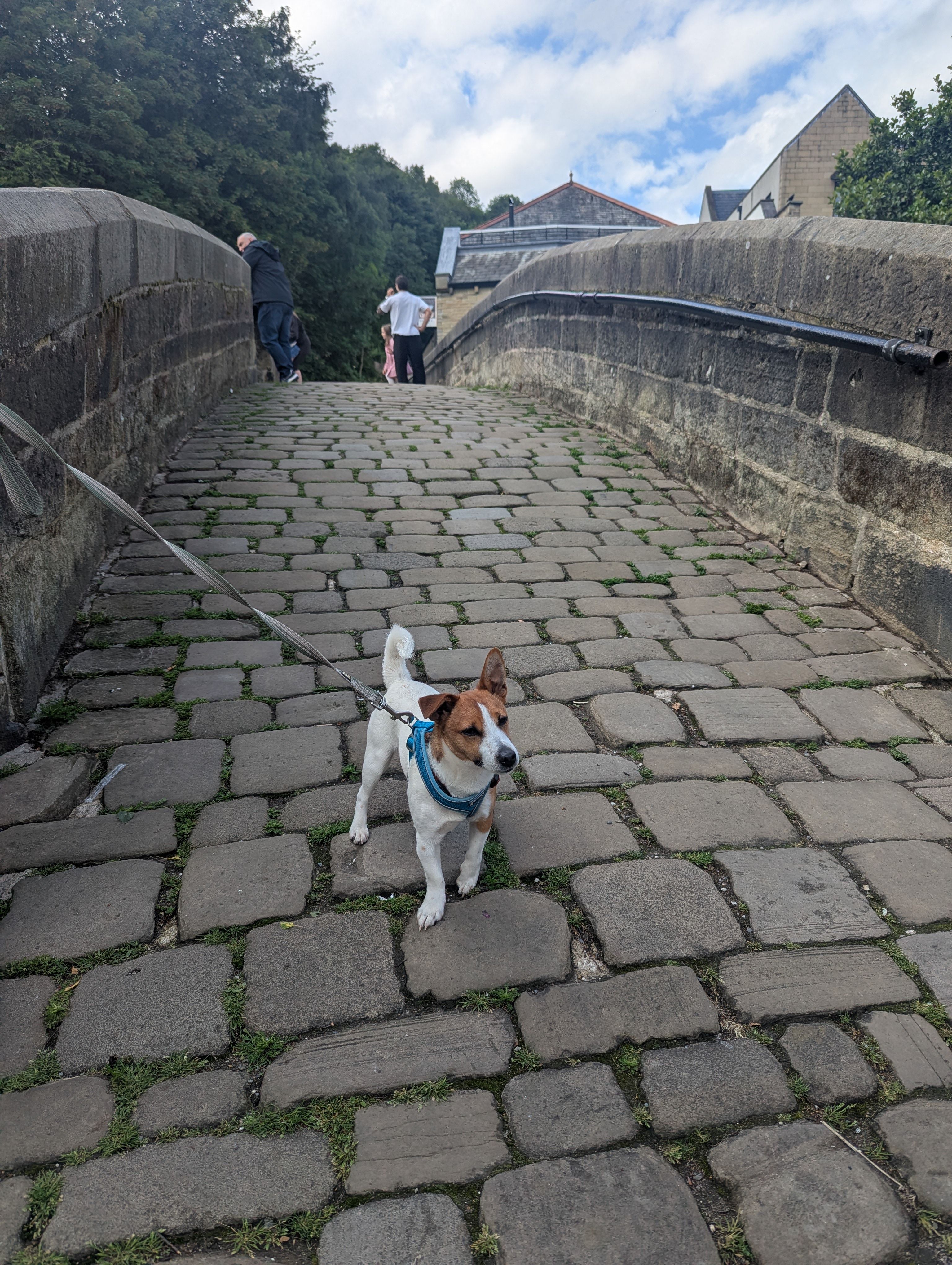 image-5