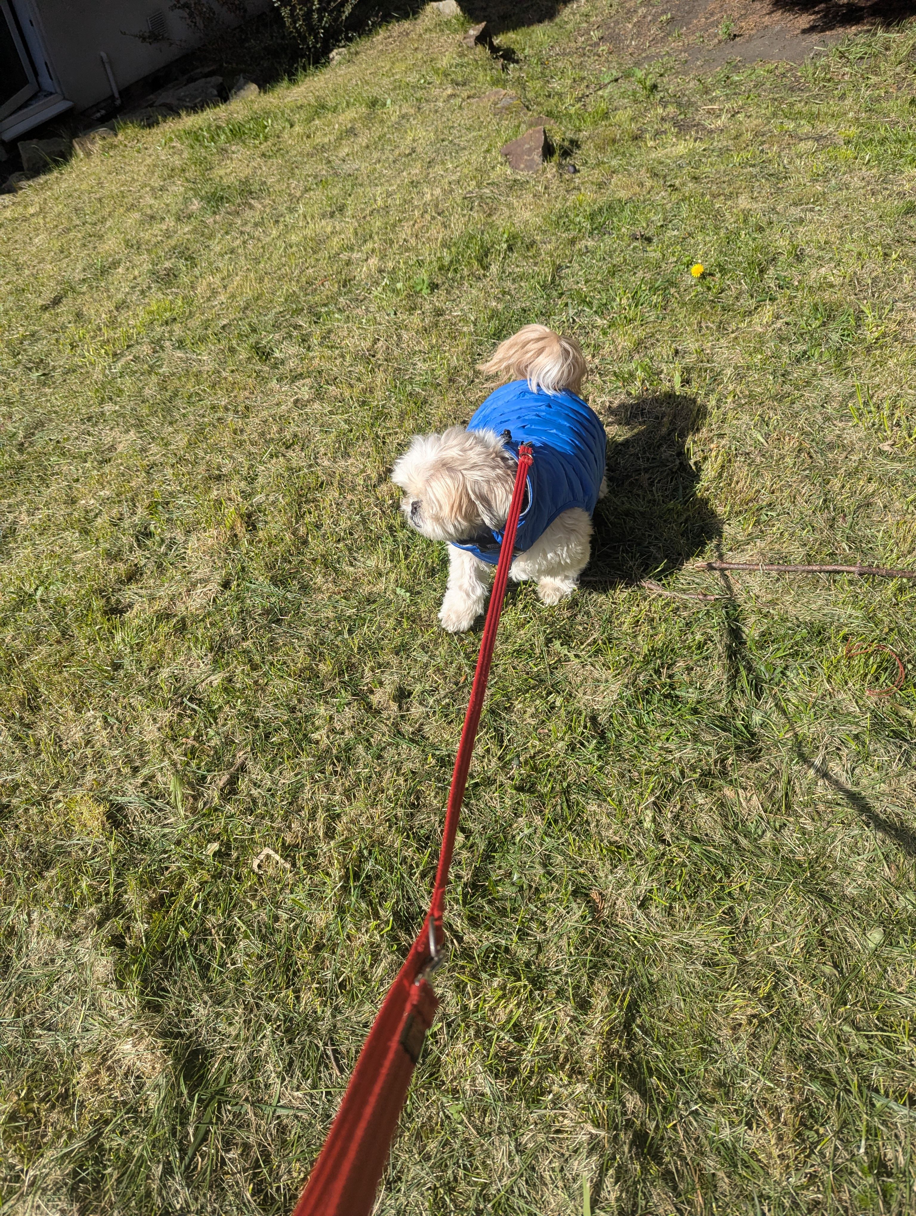 image-4