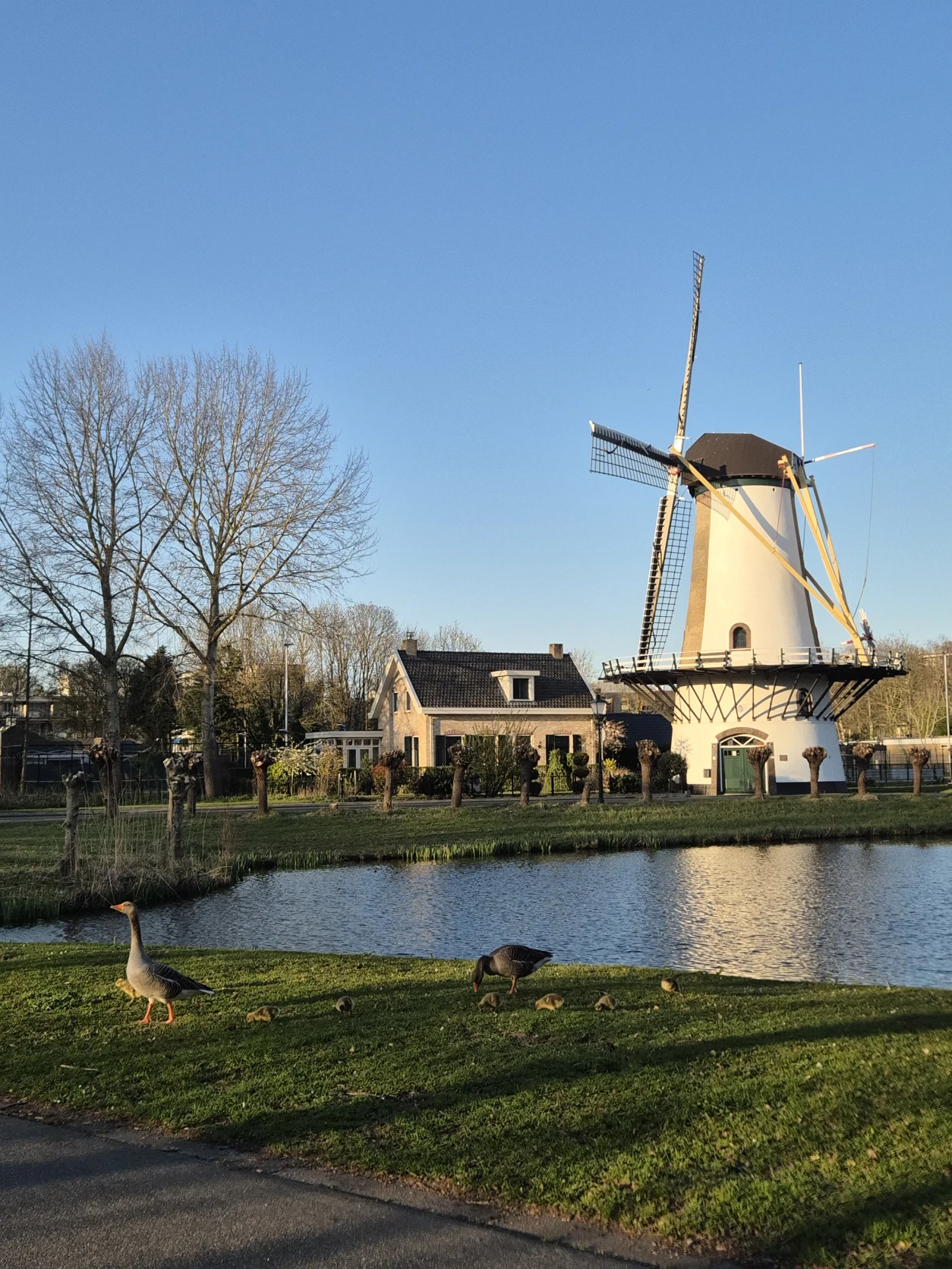 image-21