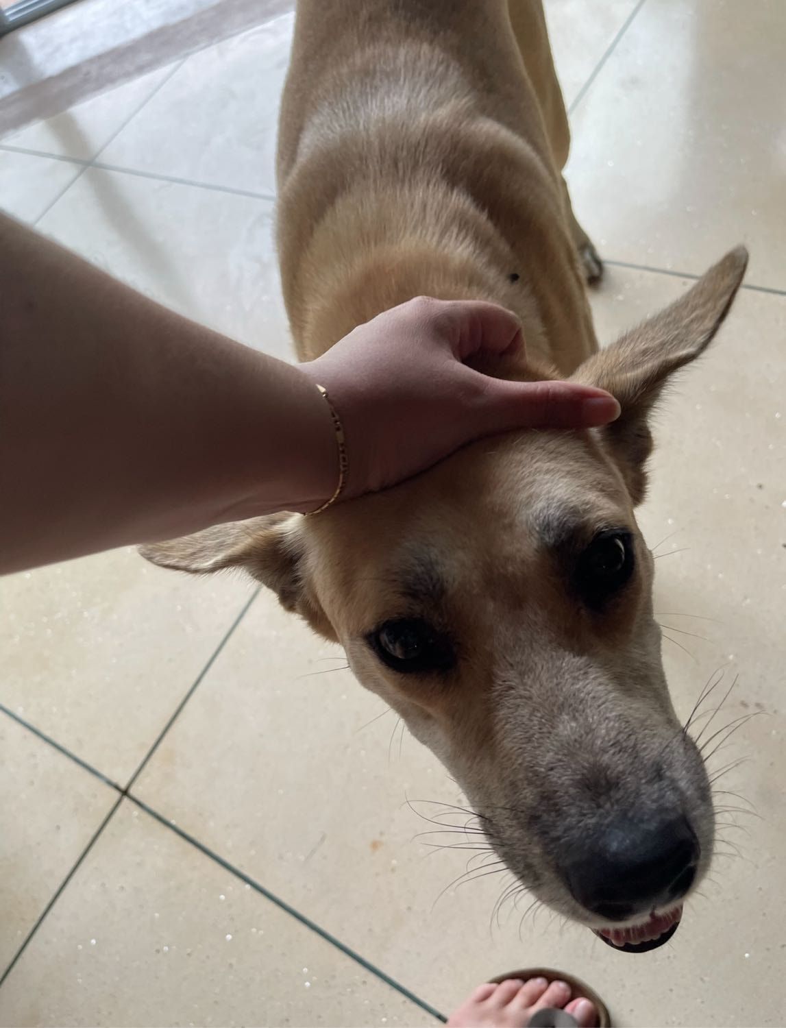 image-7