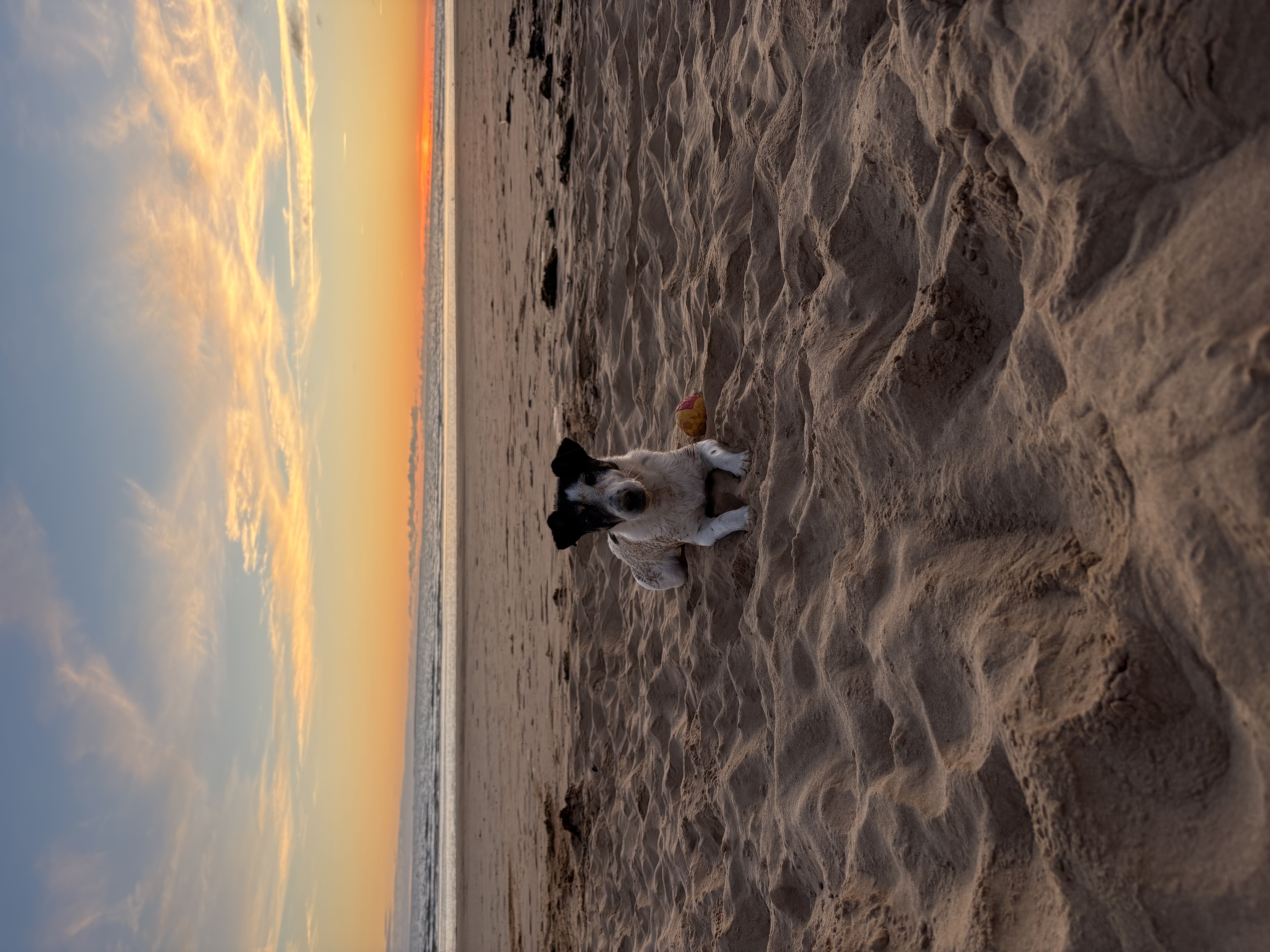 image-0
