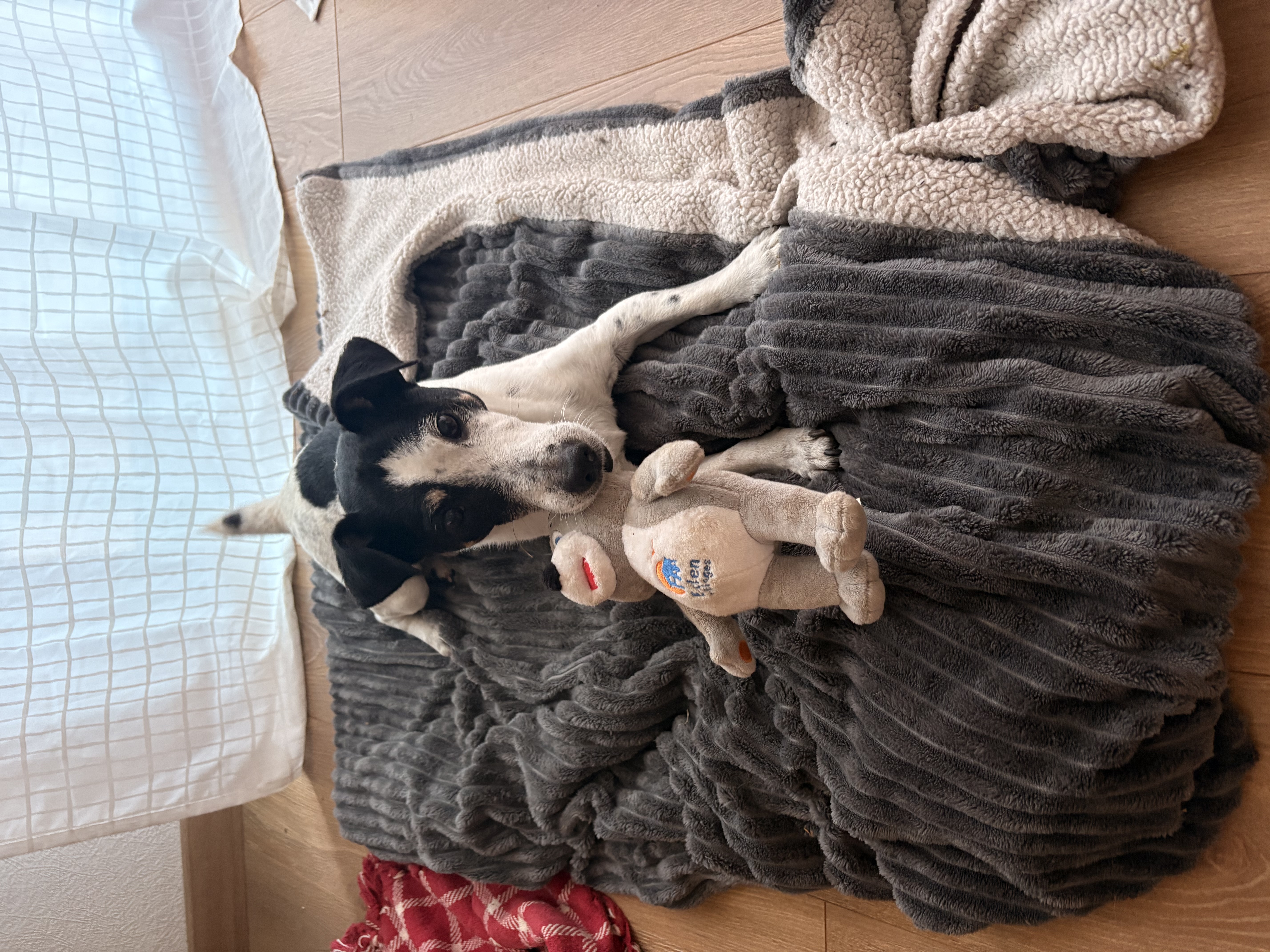 image-6