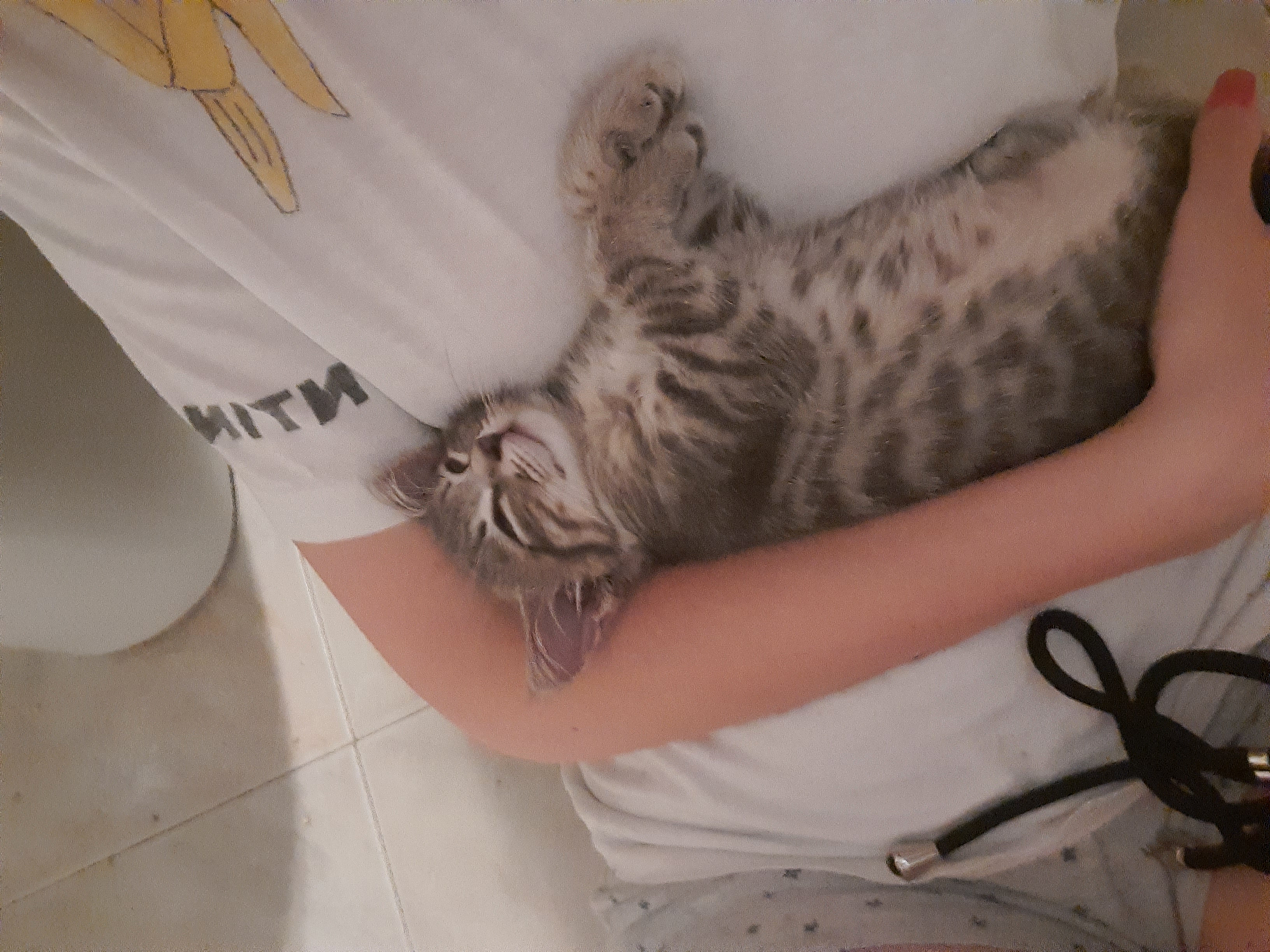 image-7