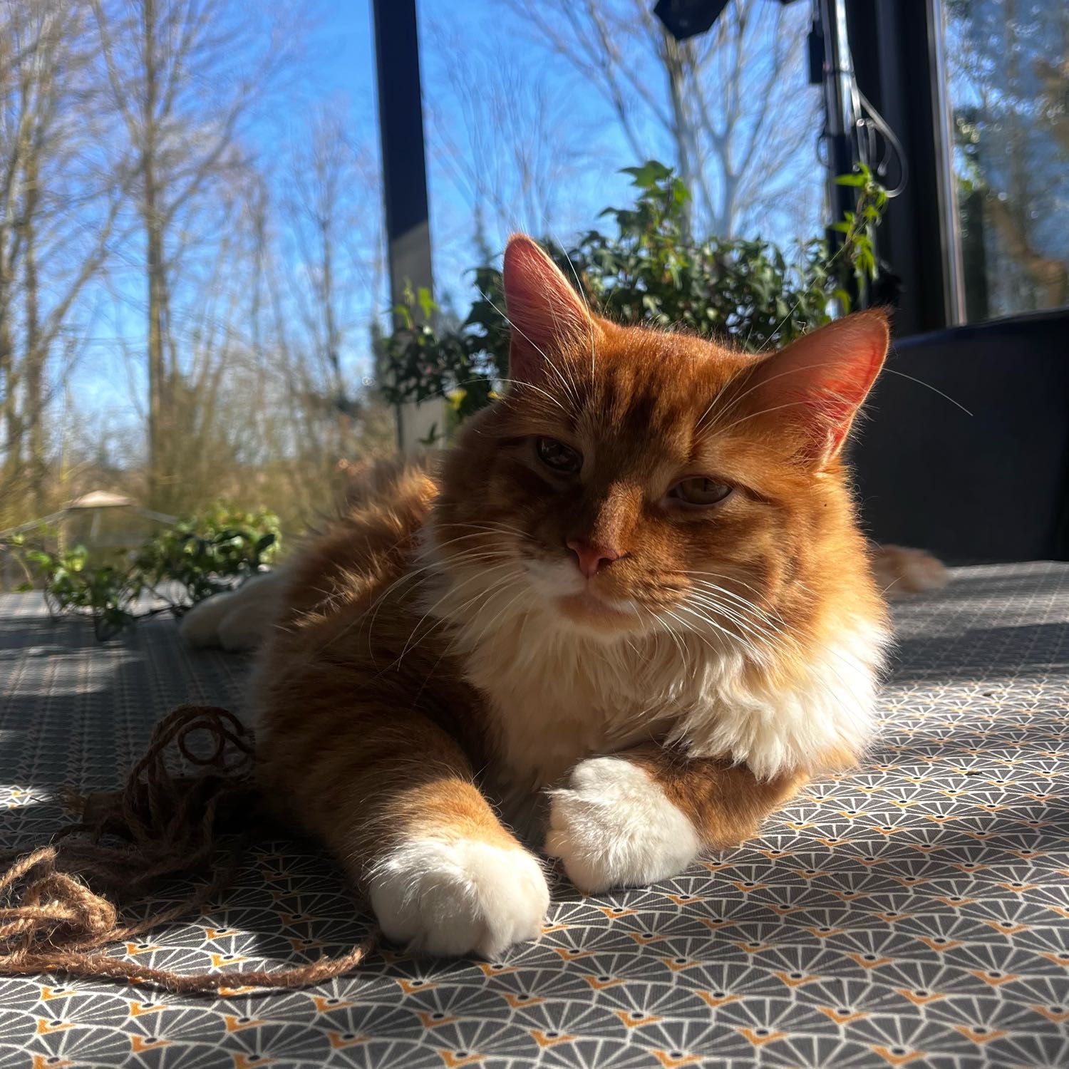Pixel