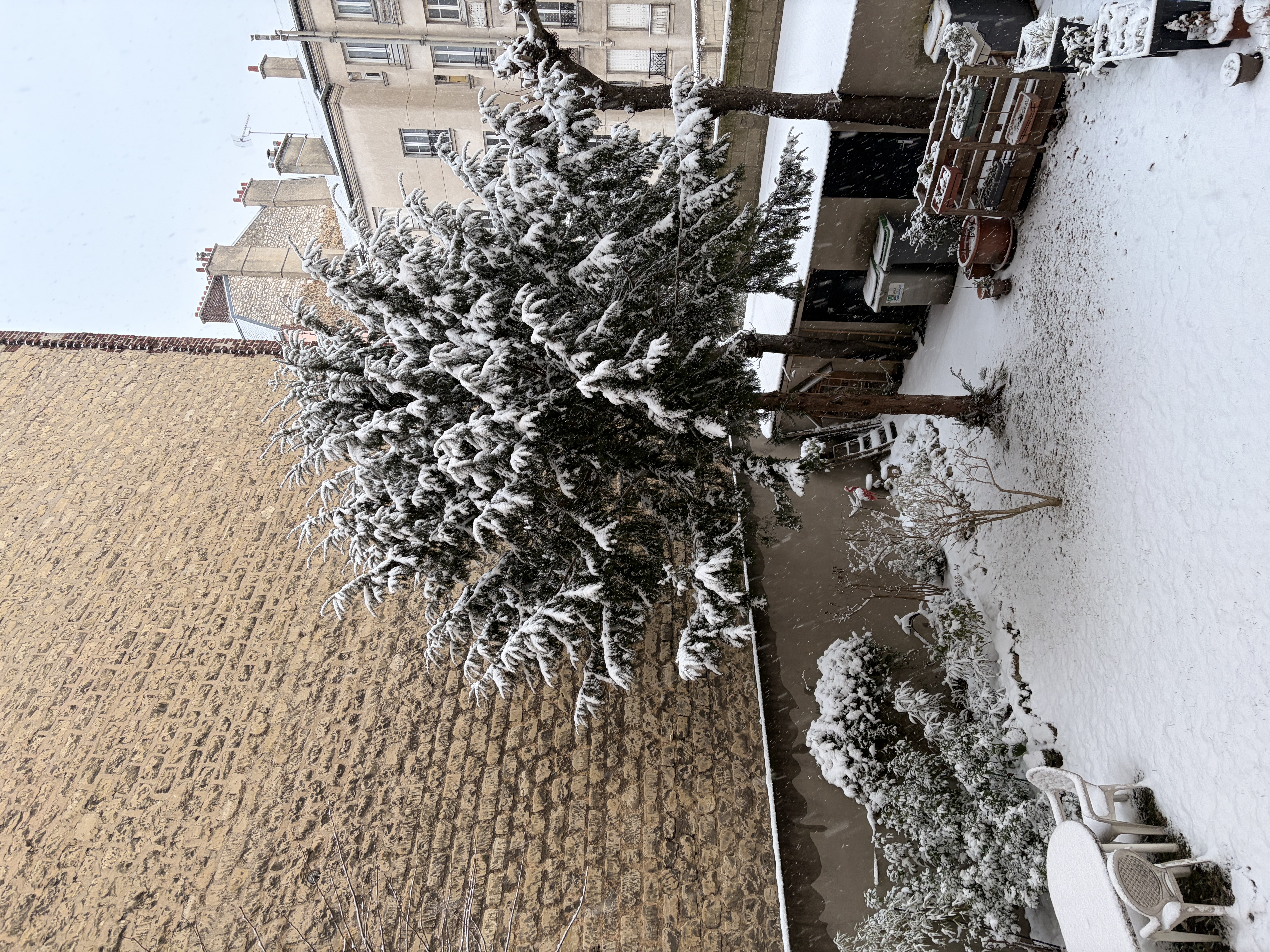 image-11