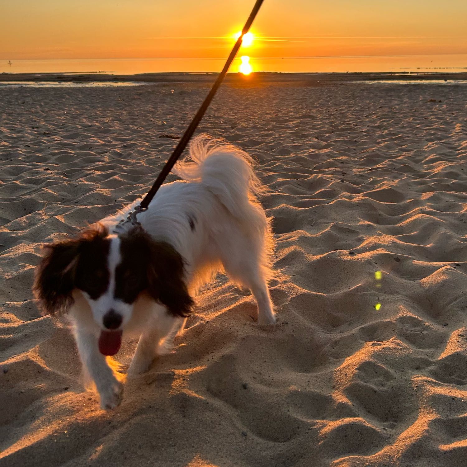 Lumi