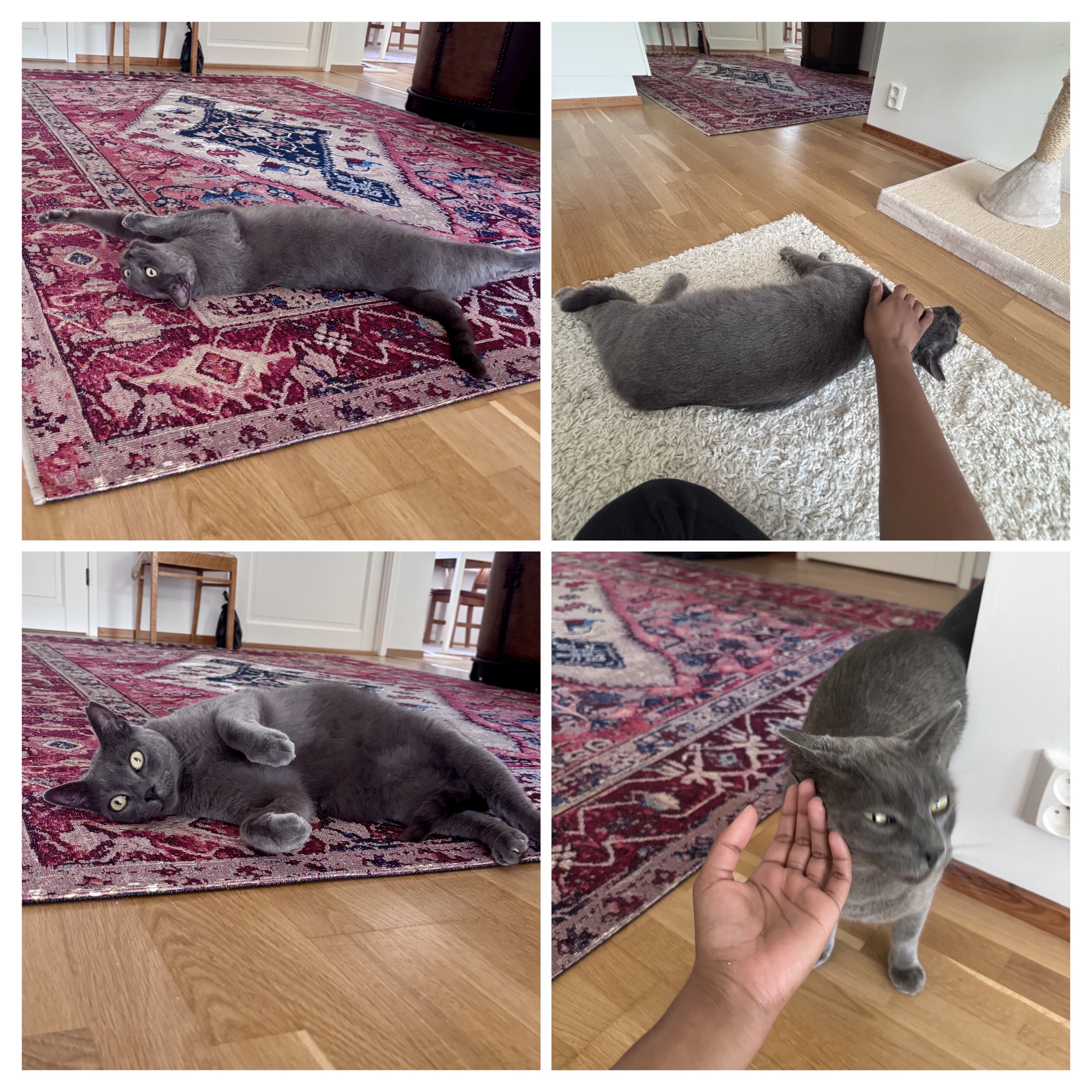 image-14