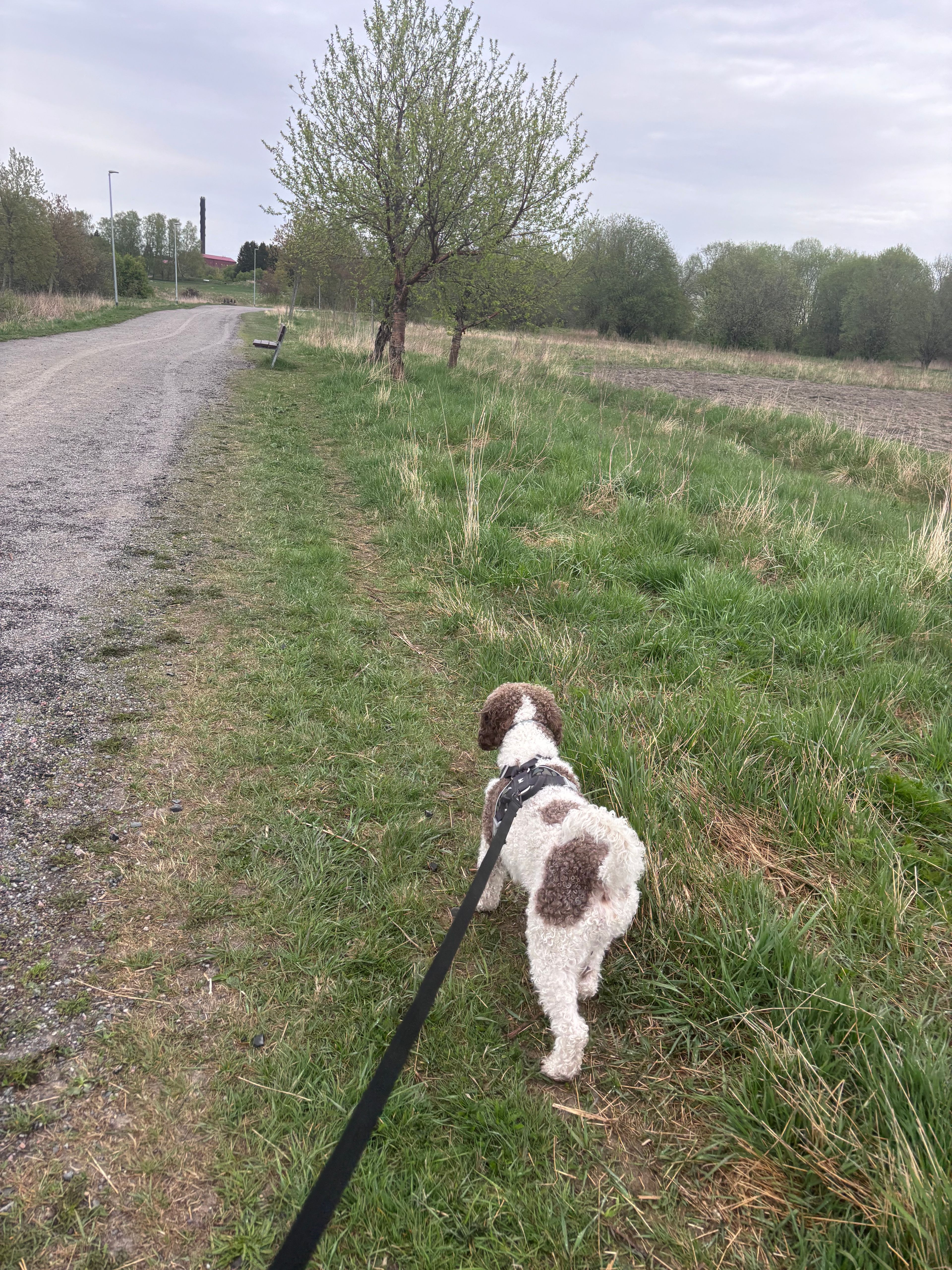 image-14