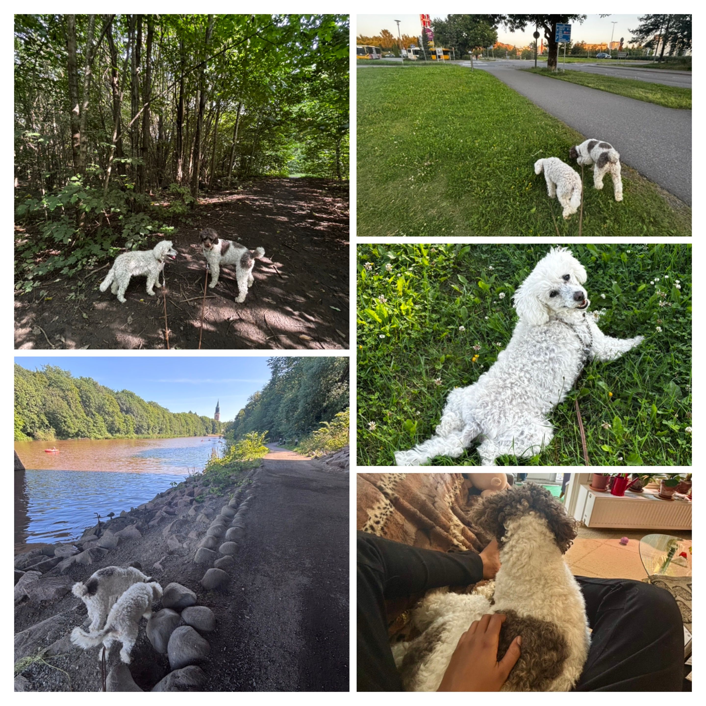 image-13