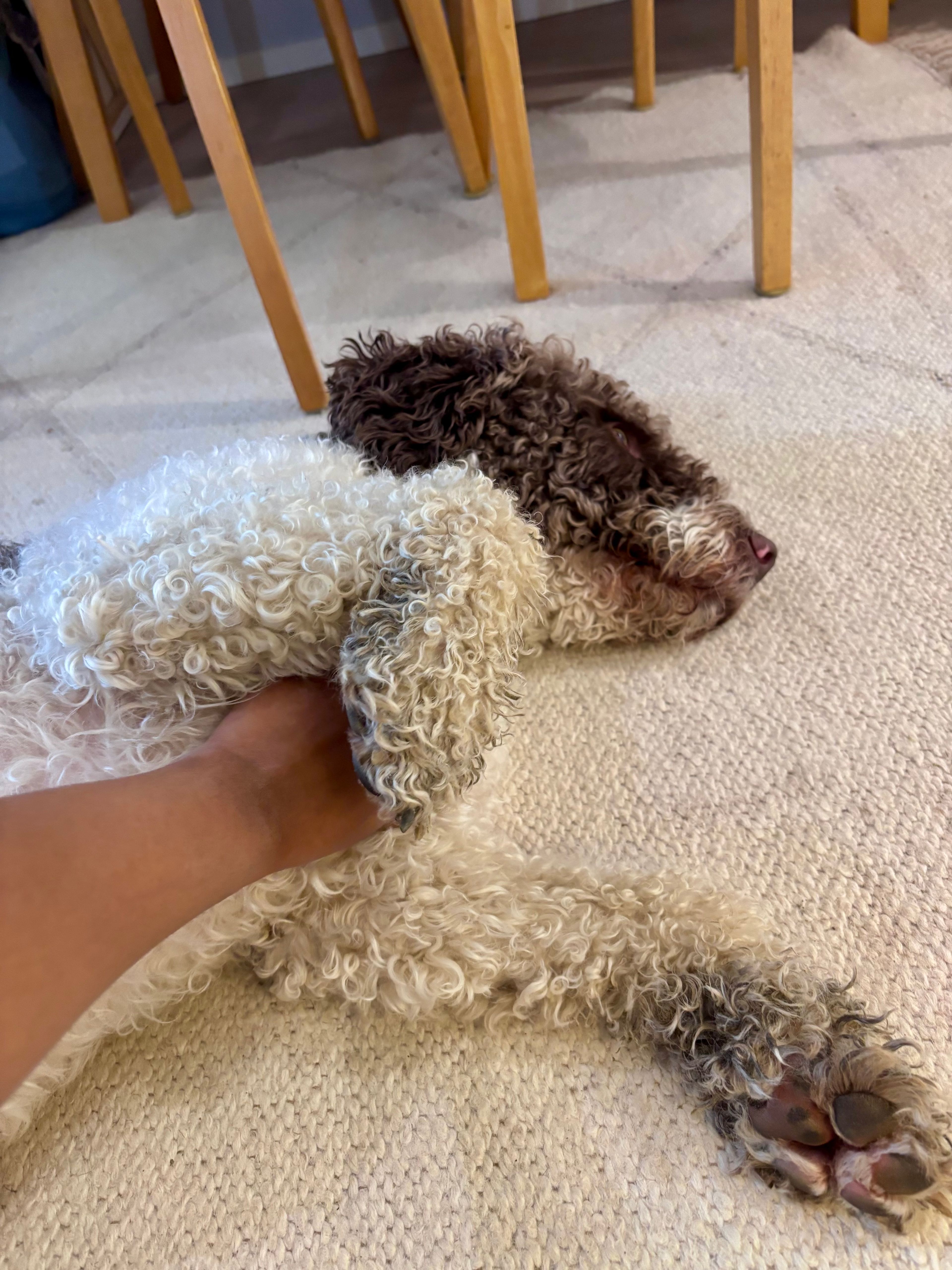 image-13