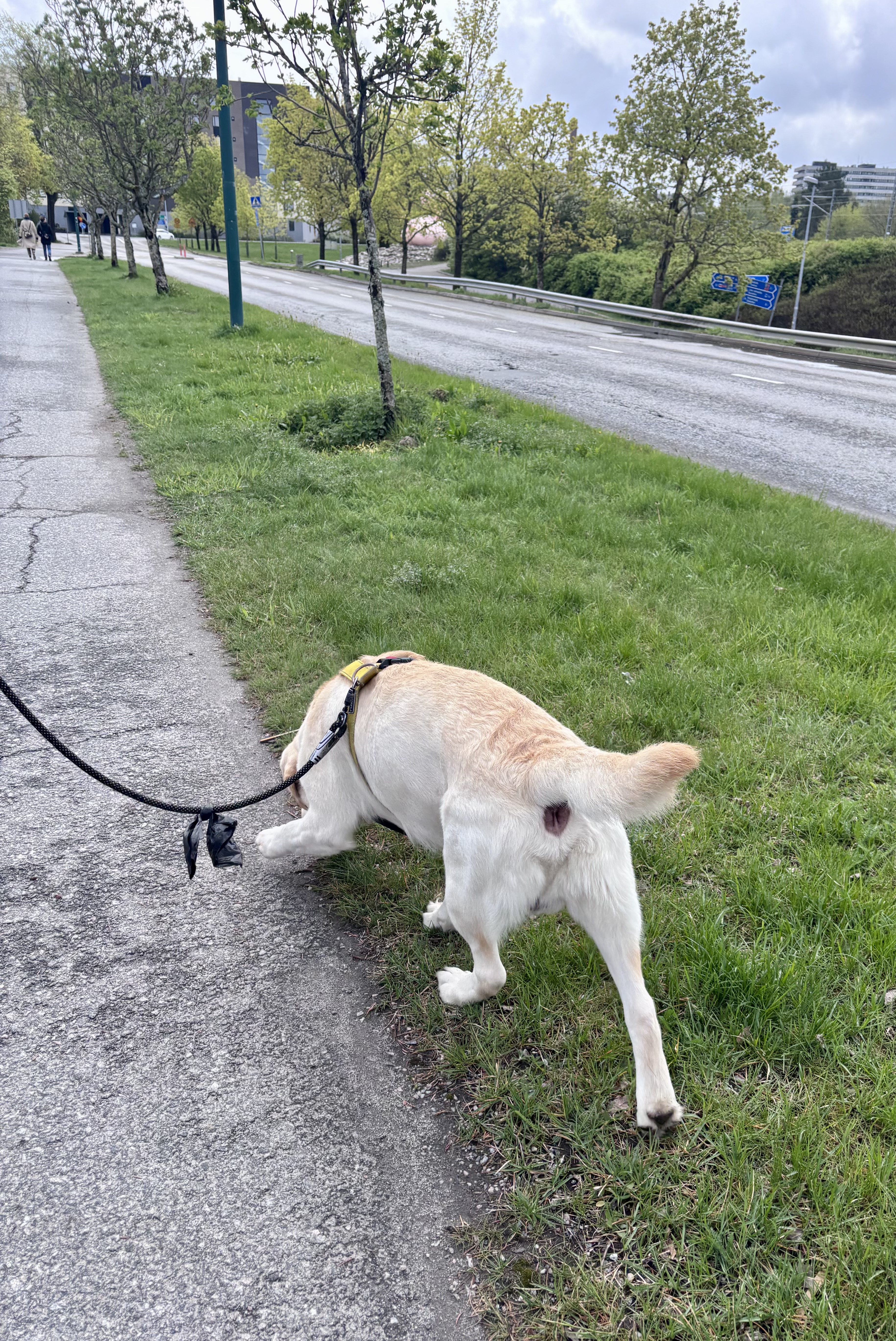 image-17