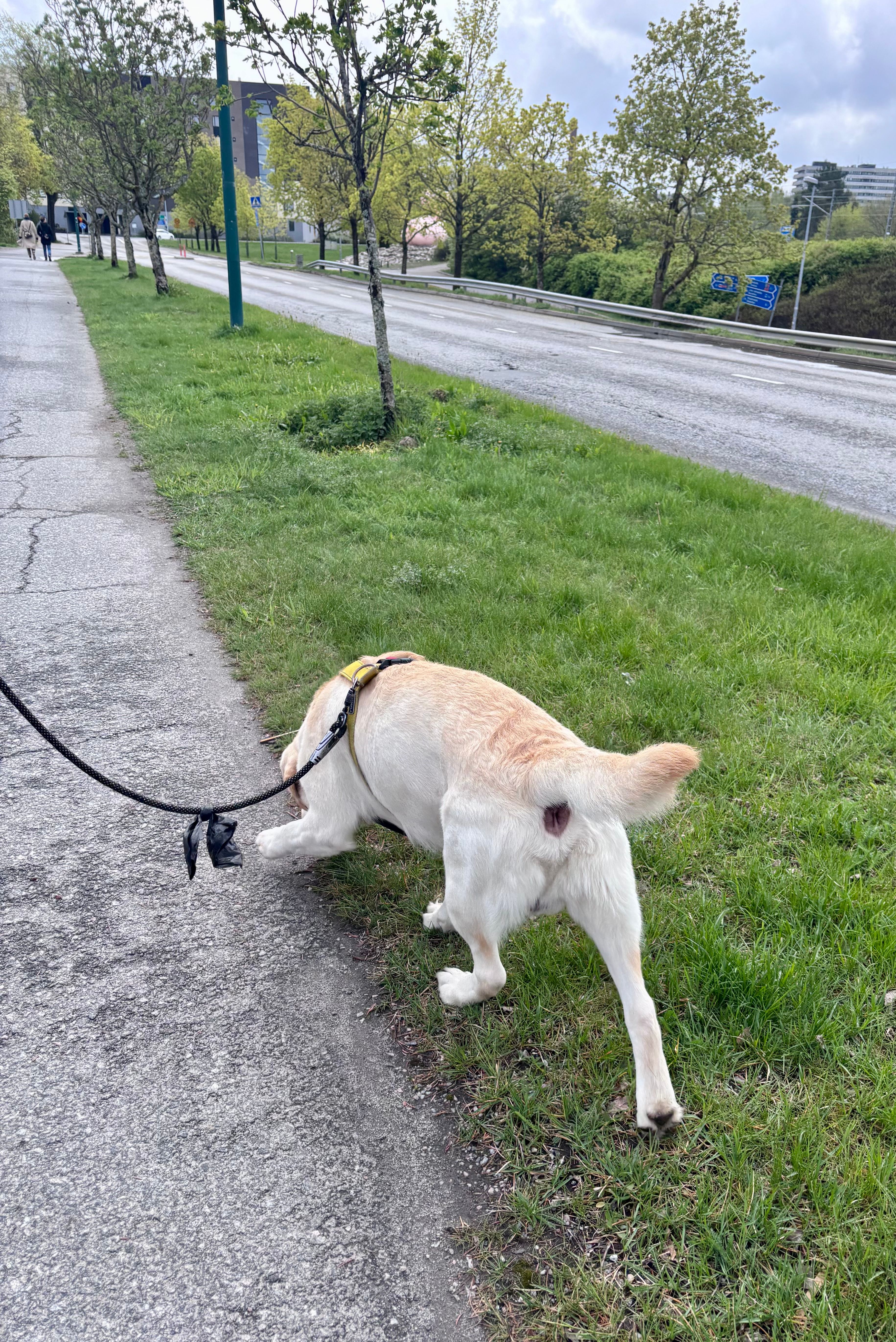 image-17