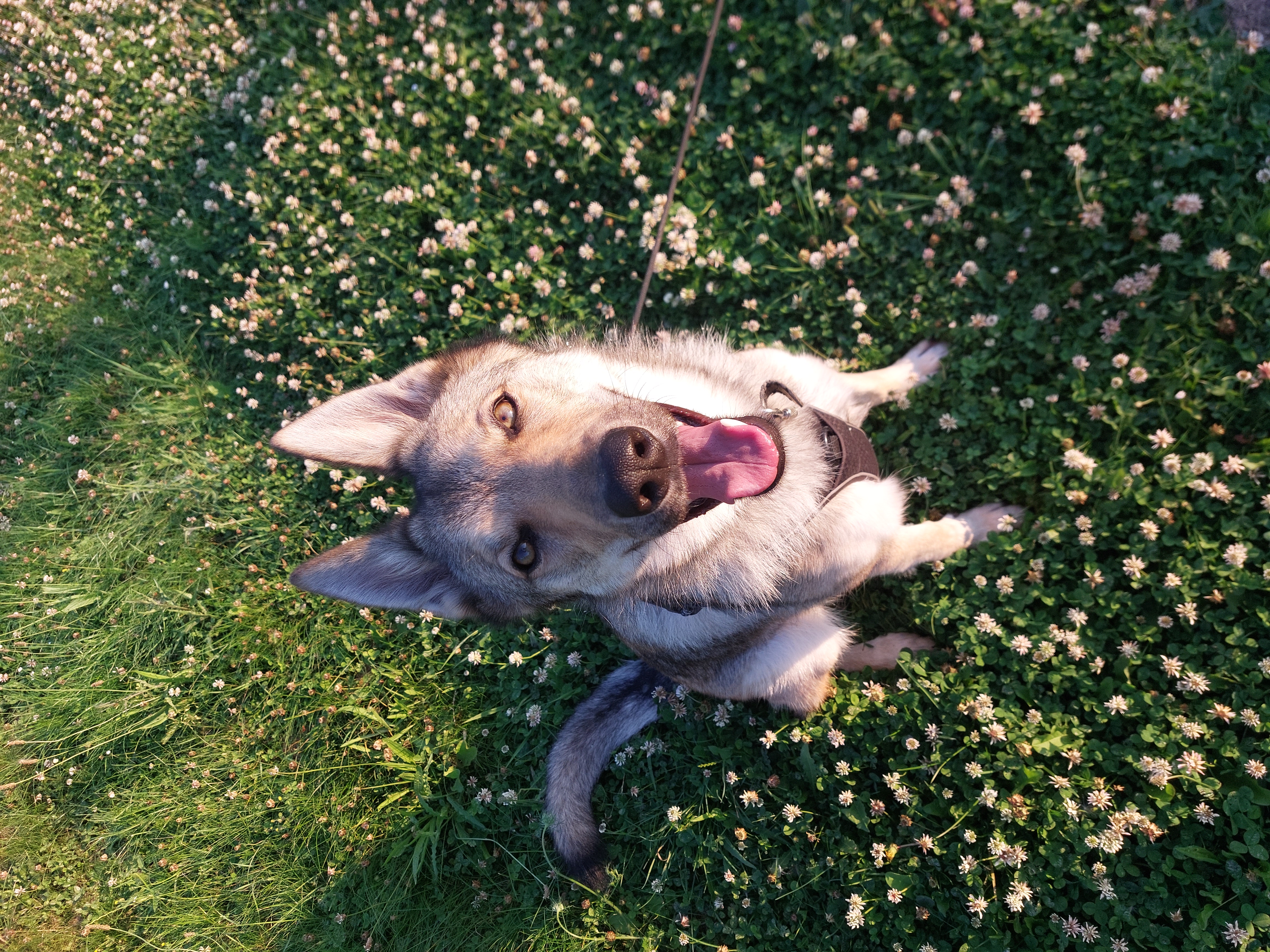 image-8