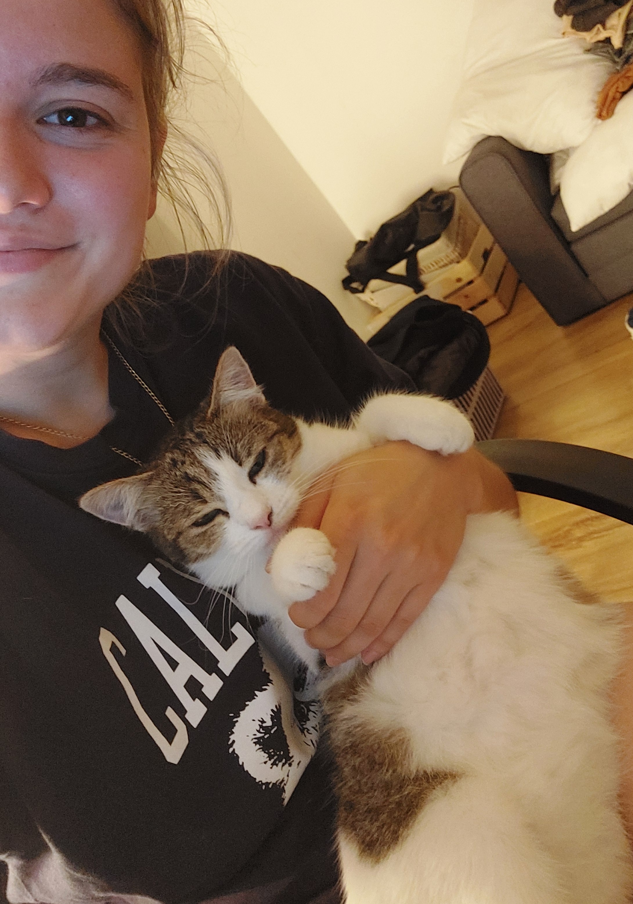 image-6