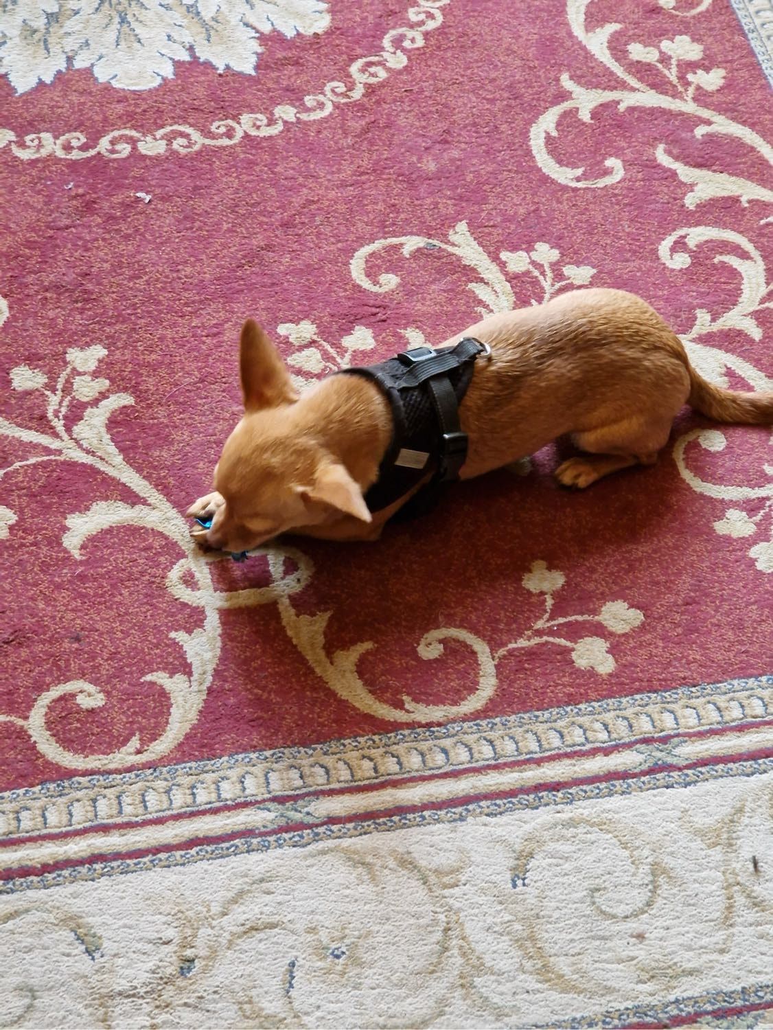 image-4