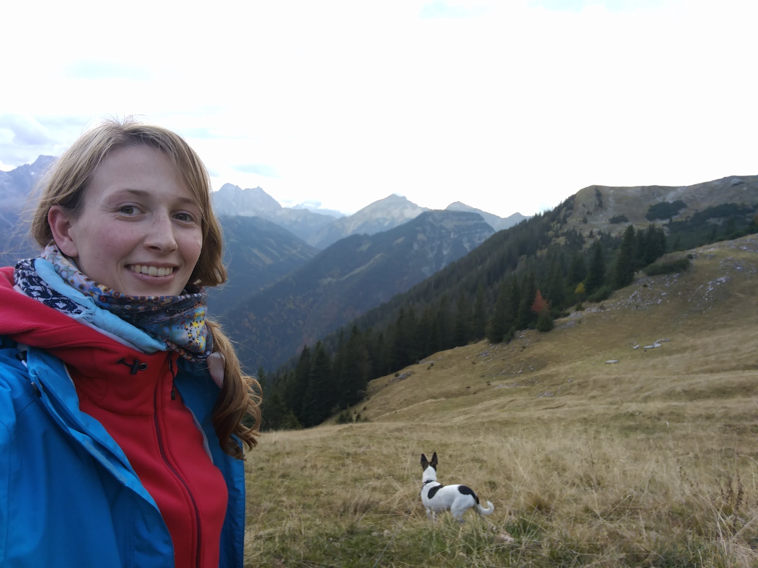 image-5