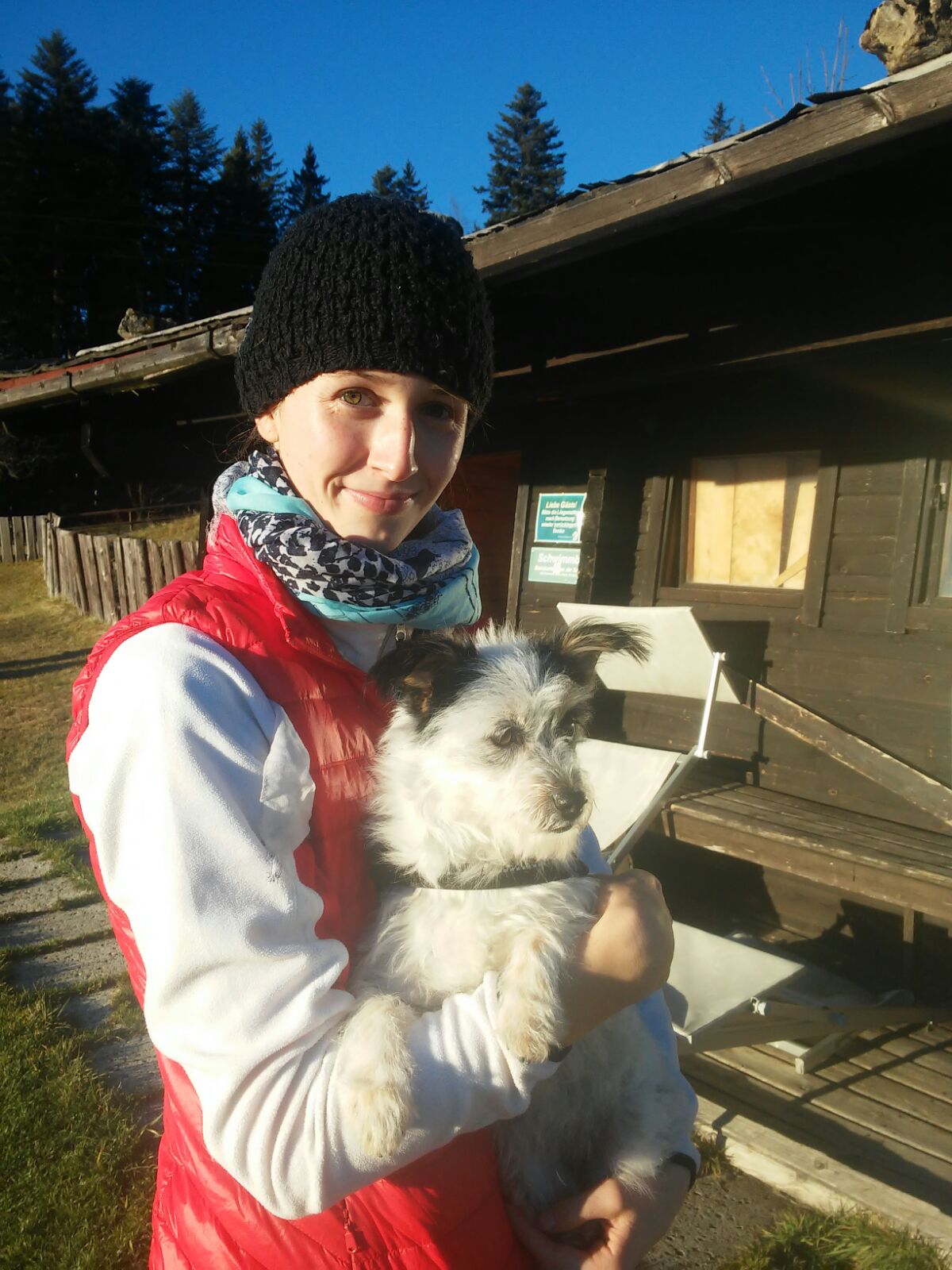 image-4