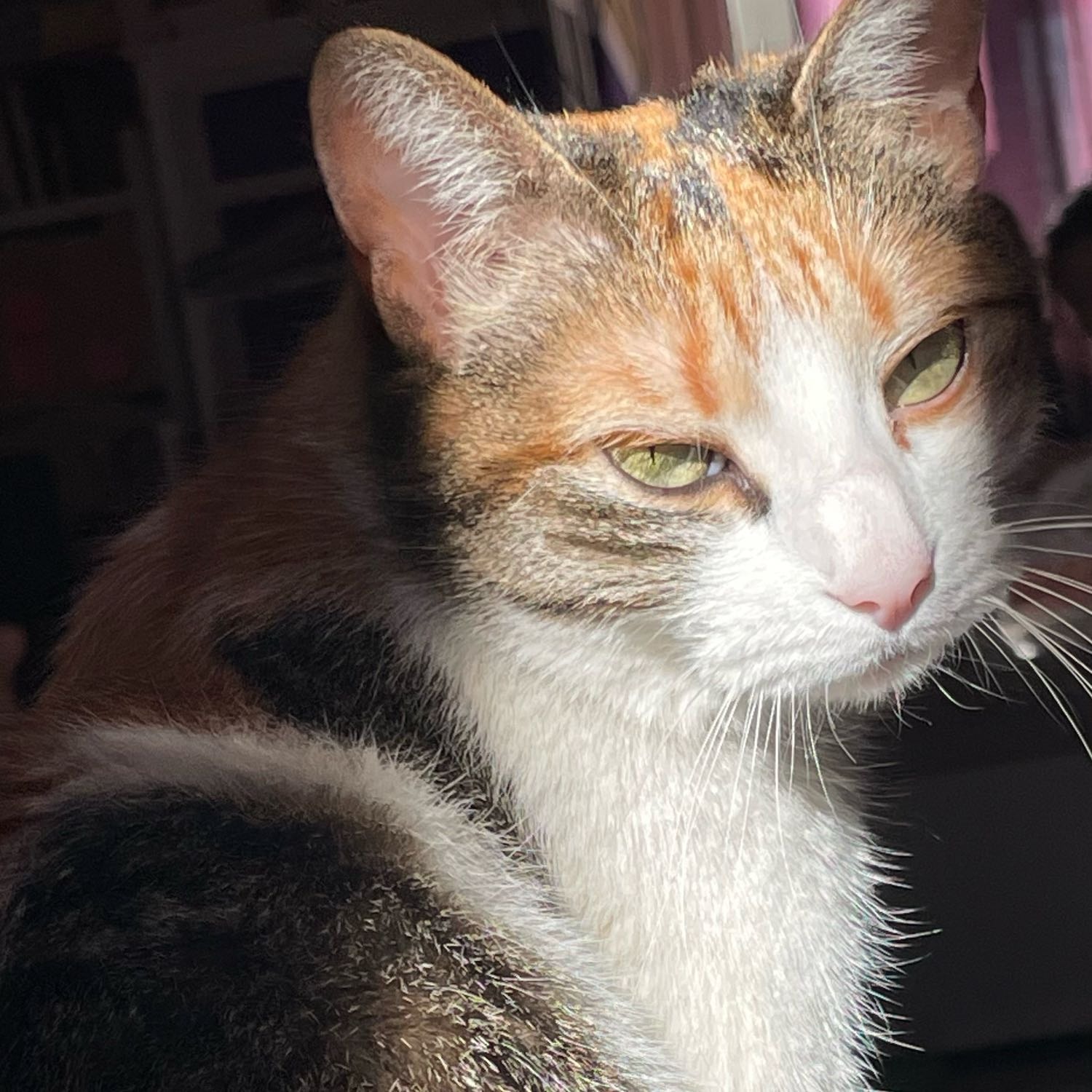 Electra