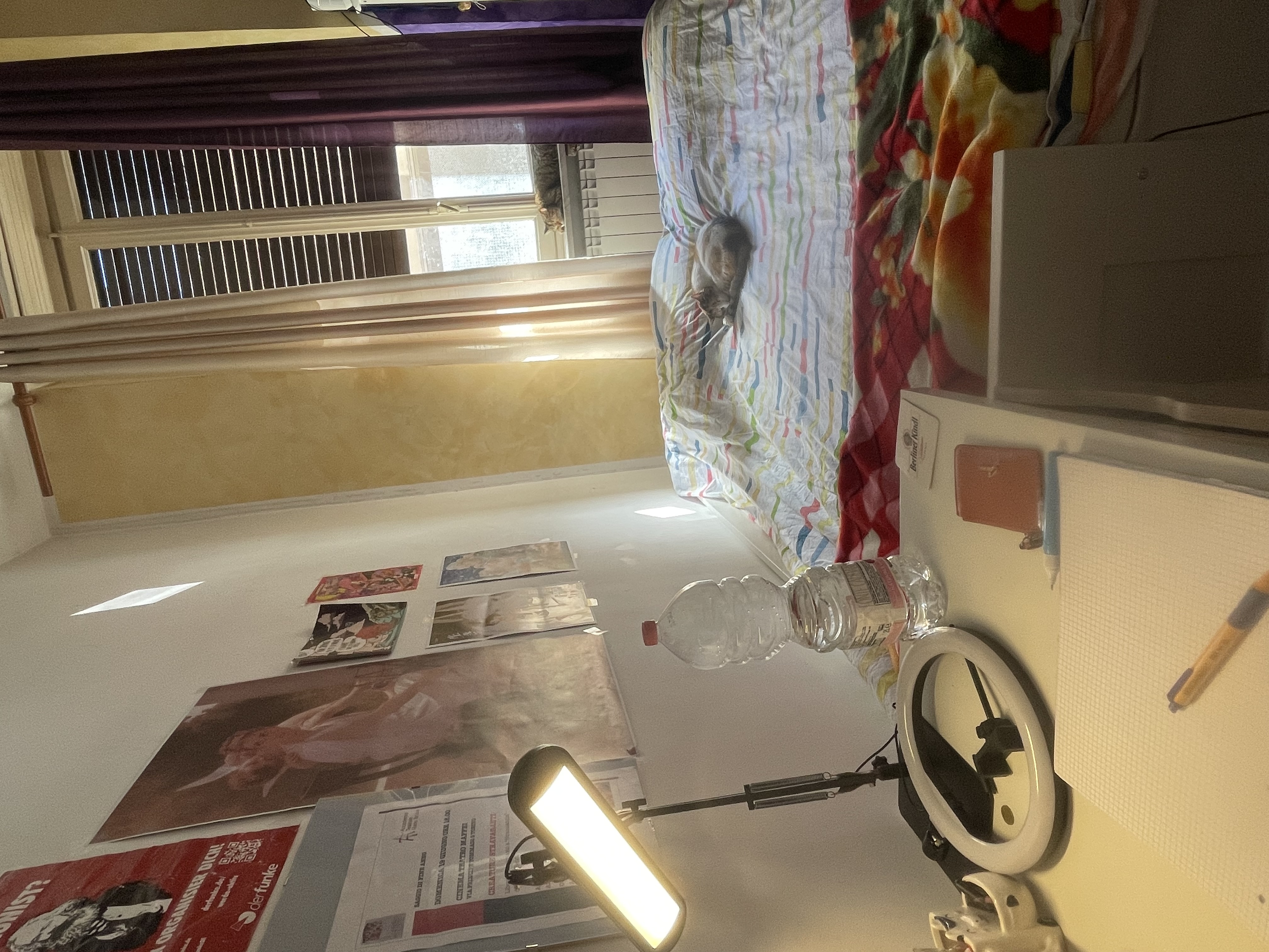 image-15