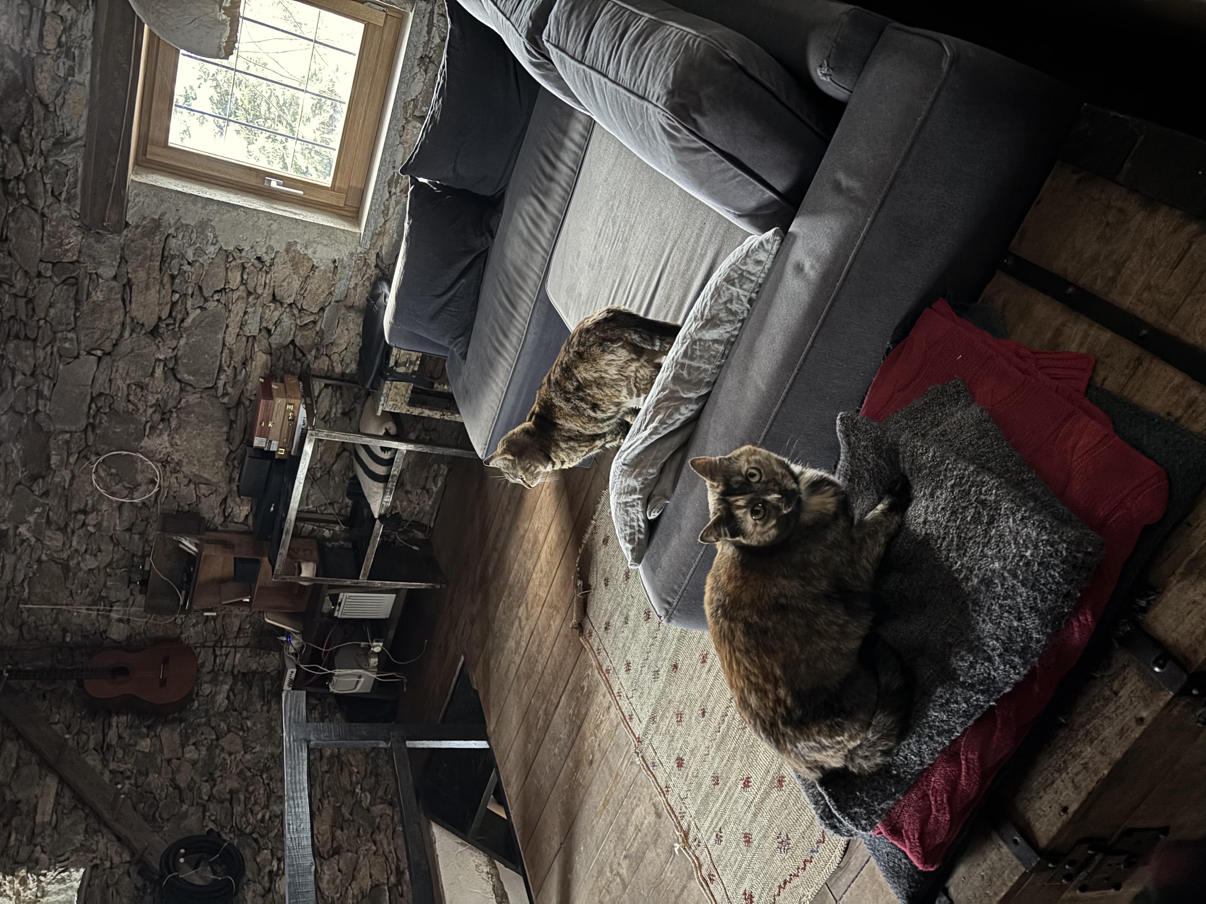 image-14