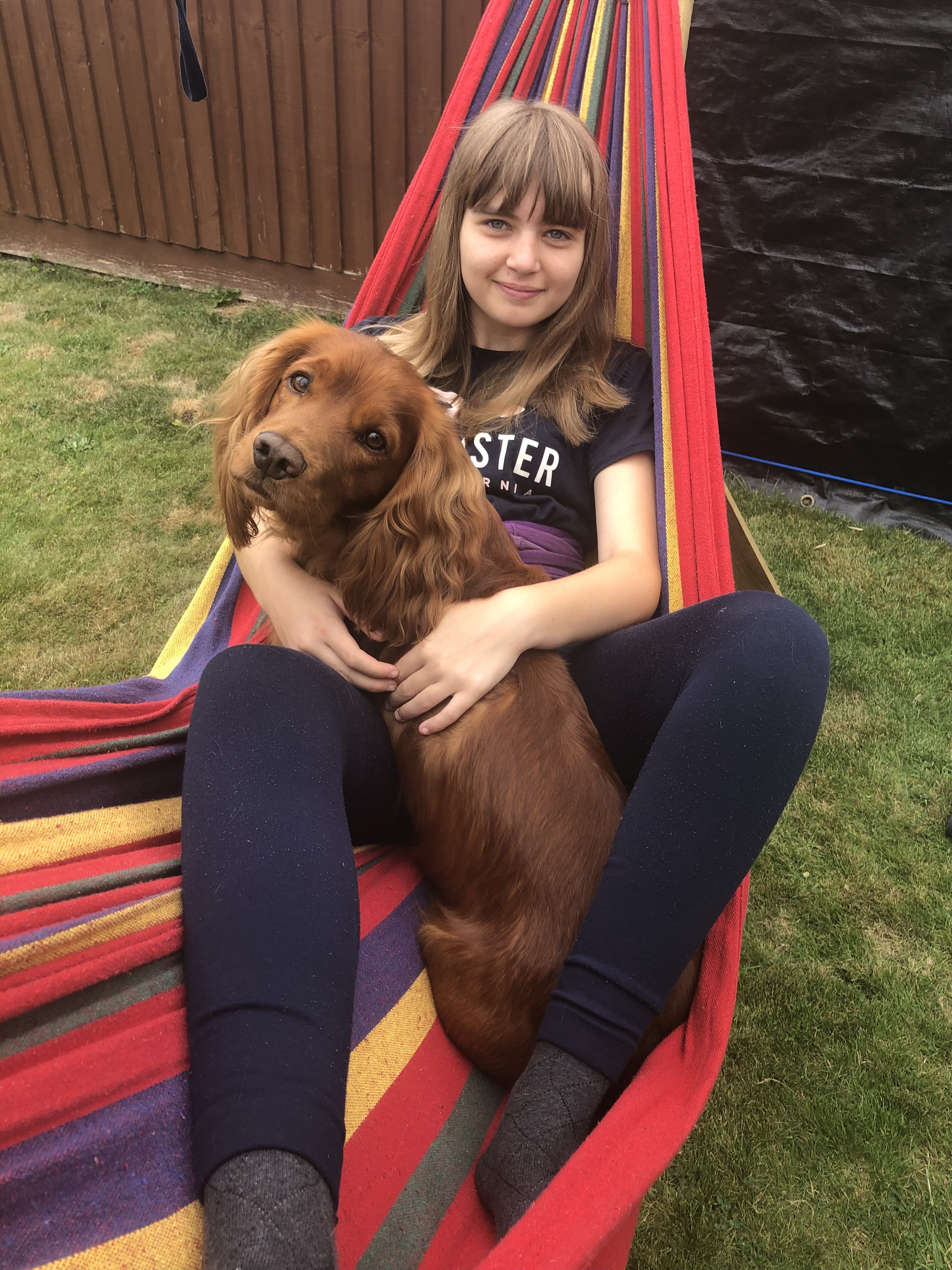 Daisy Pet sitter in Falmouth