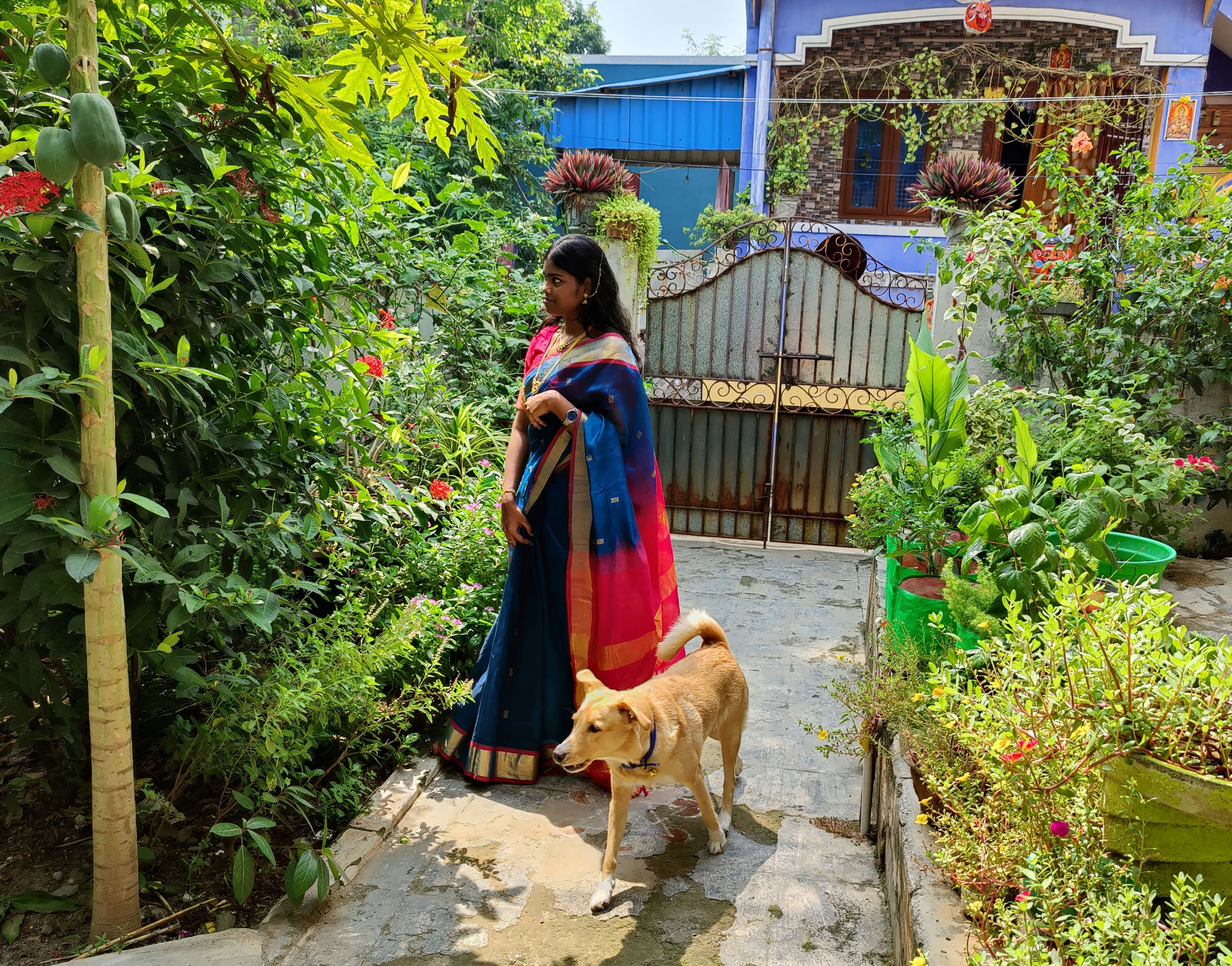 image-5